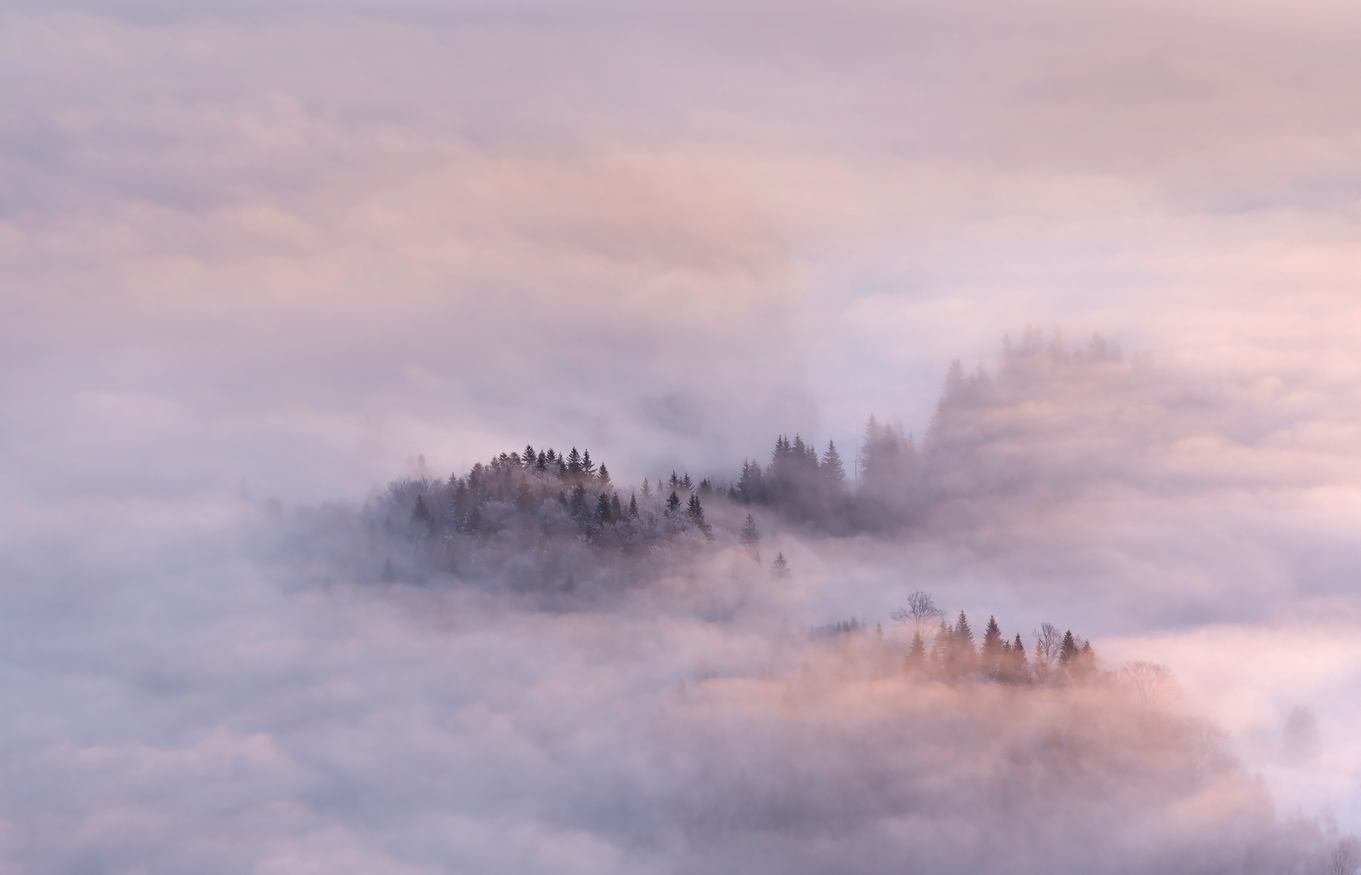 Raggiungere la nebbia