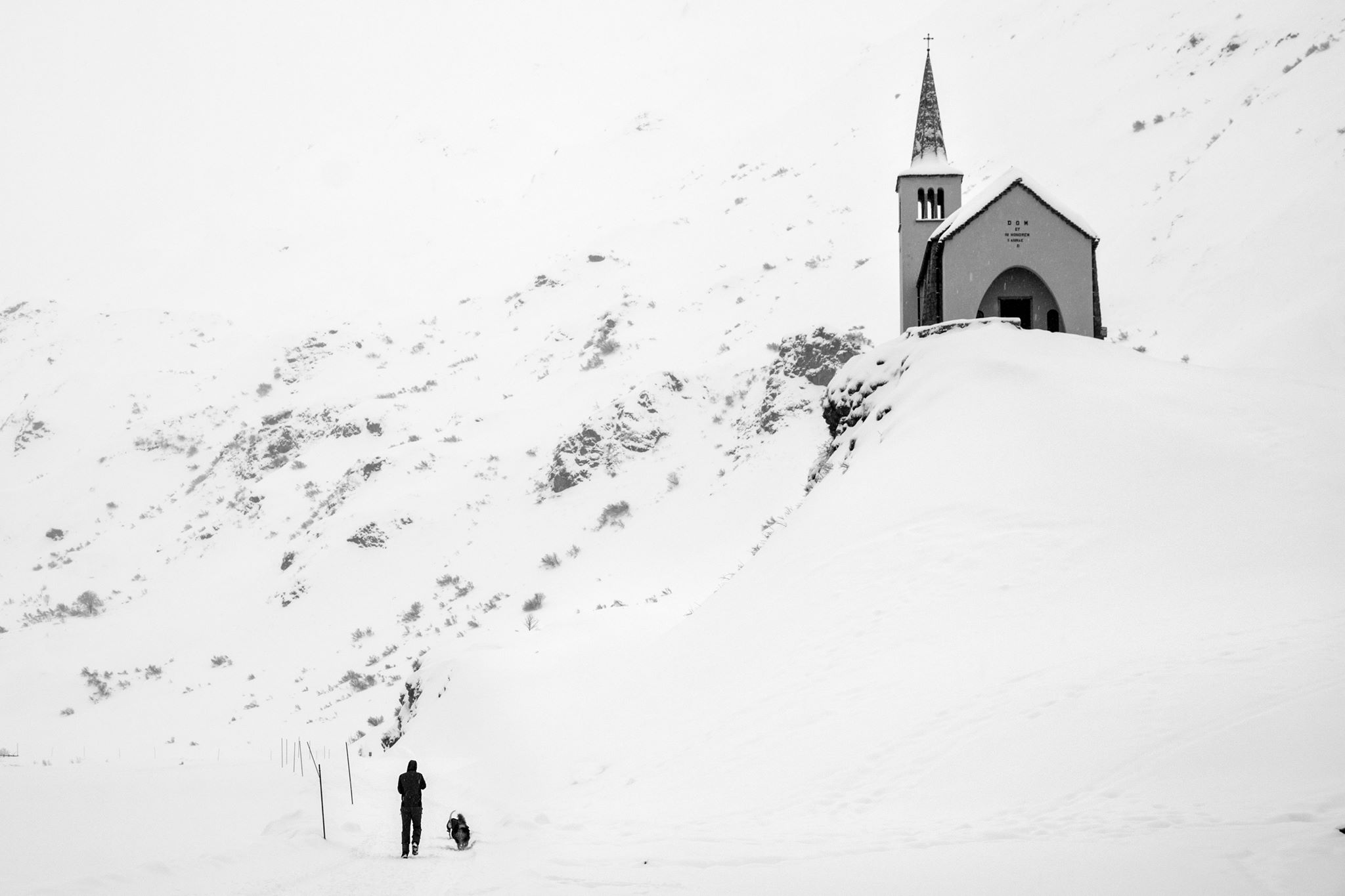La ricerca della pace