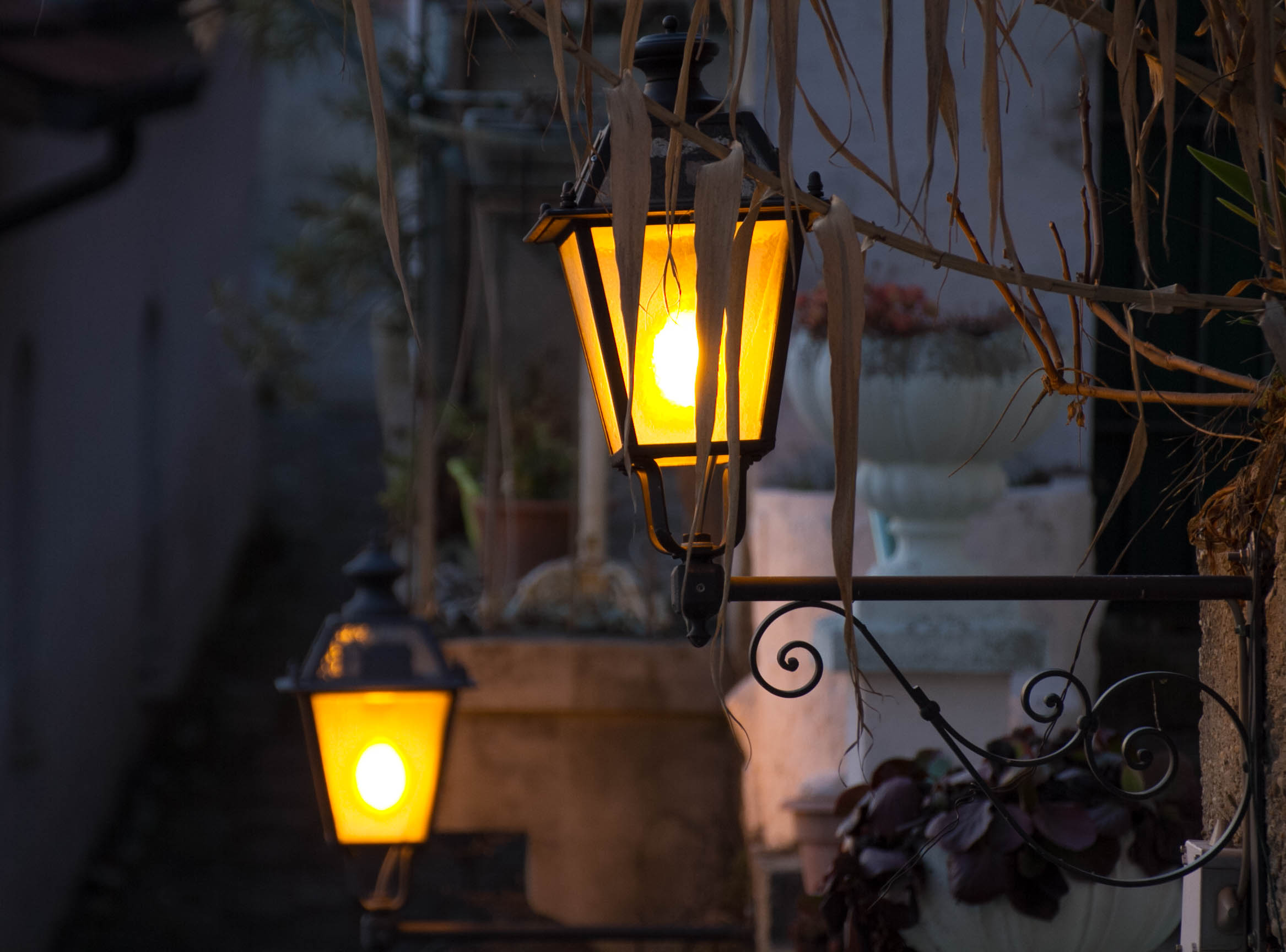 La Sternia Di canelli