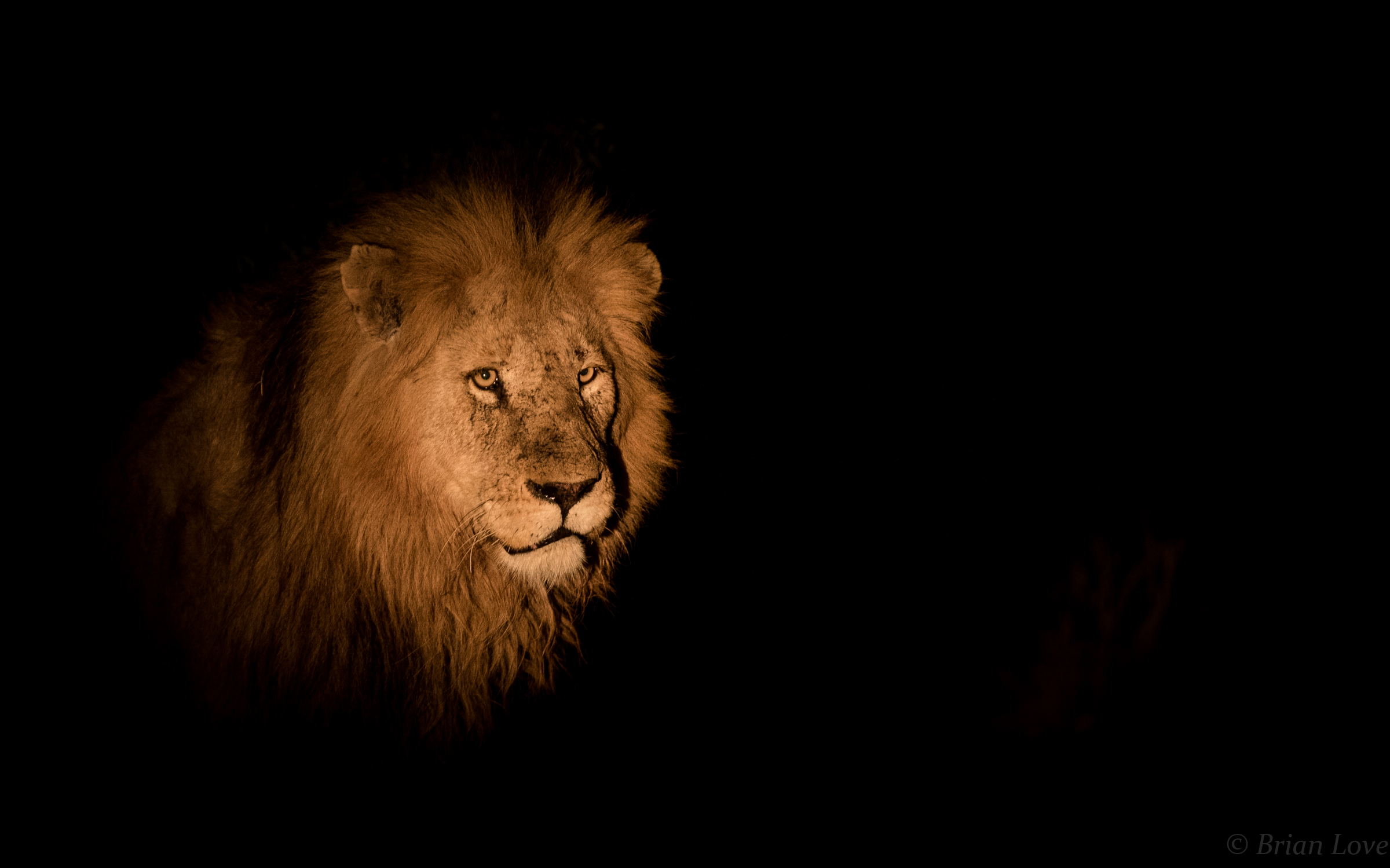 The light and the darkness