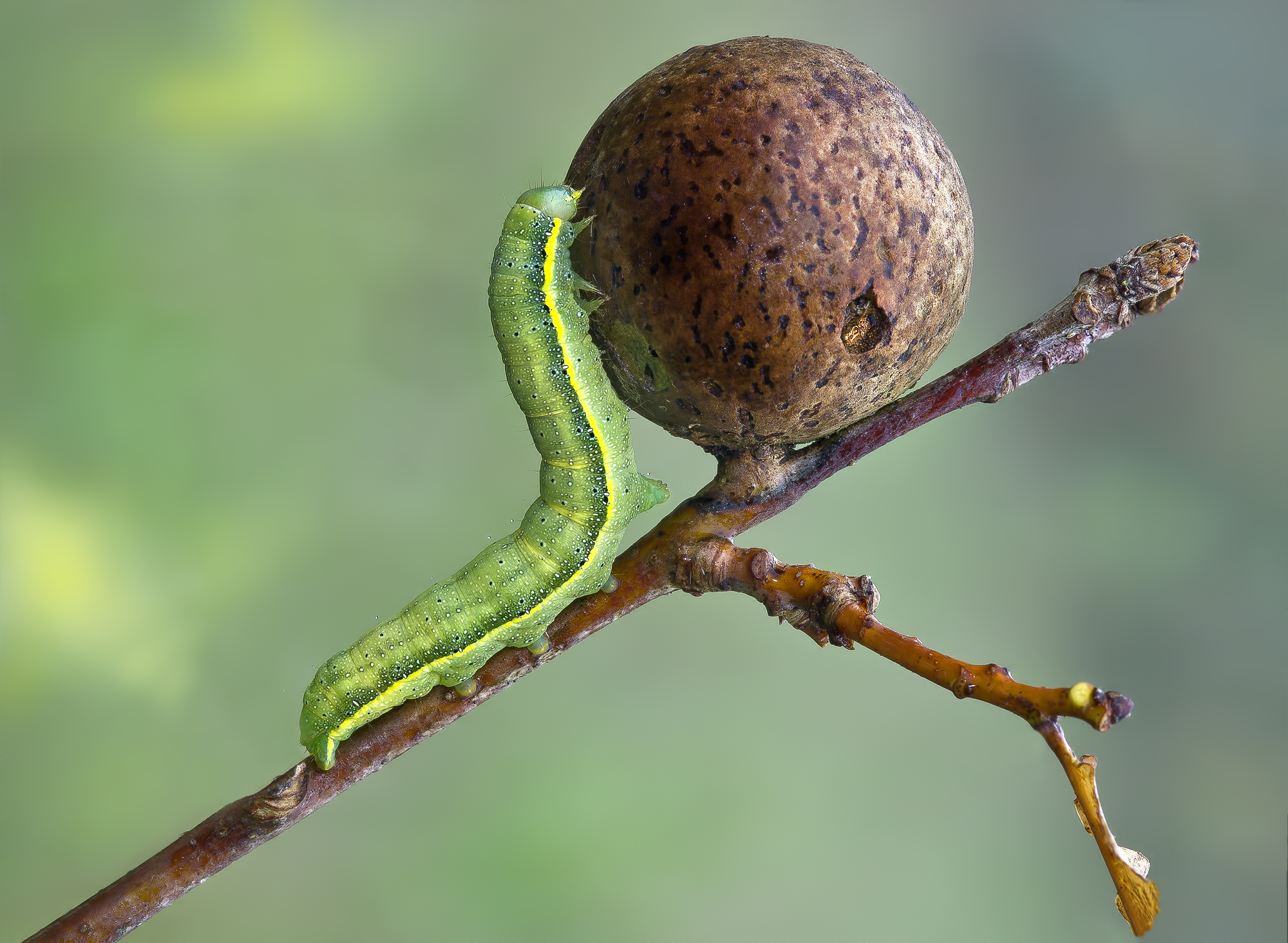 We get on the world!