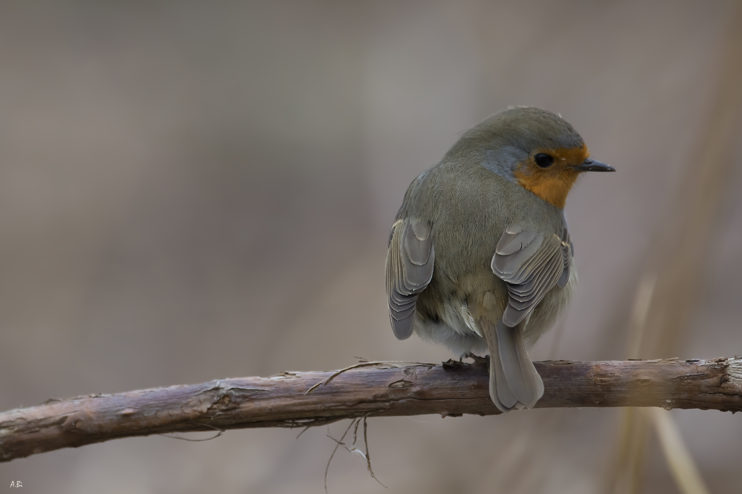 Sorry your shoulders ...