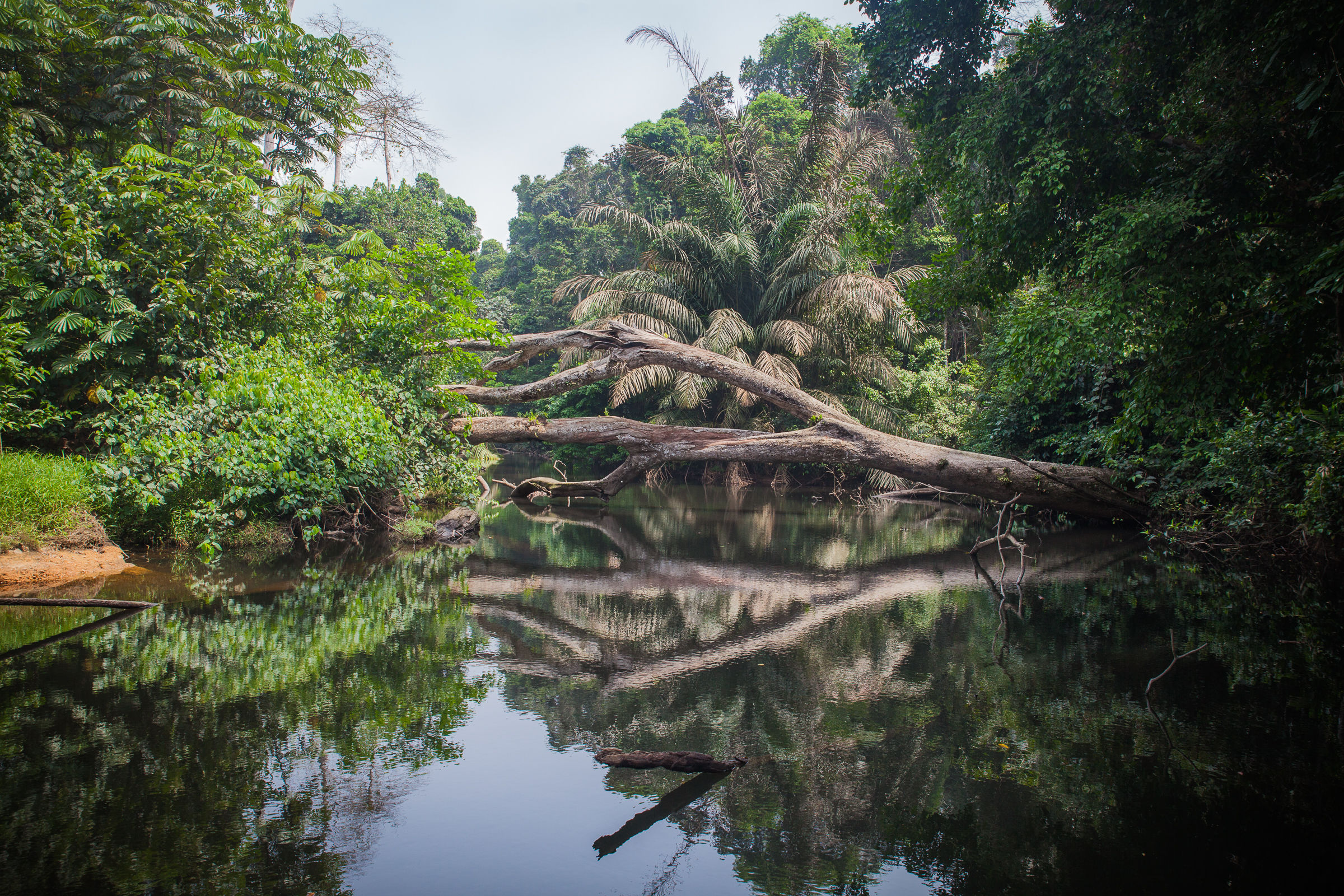 Tra Kribi e Rio Campo