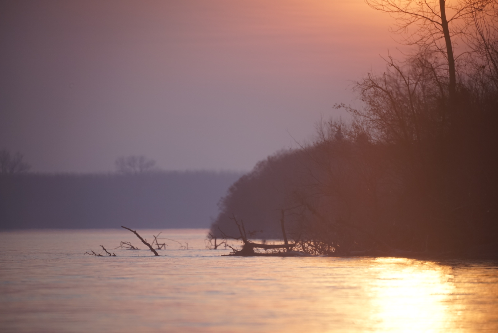 Tramonto fiume Po Selvaggio