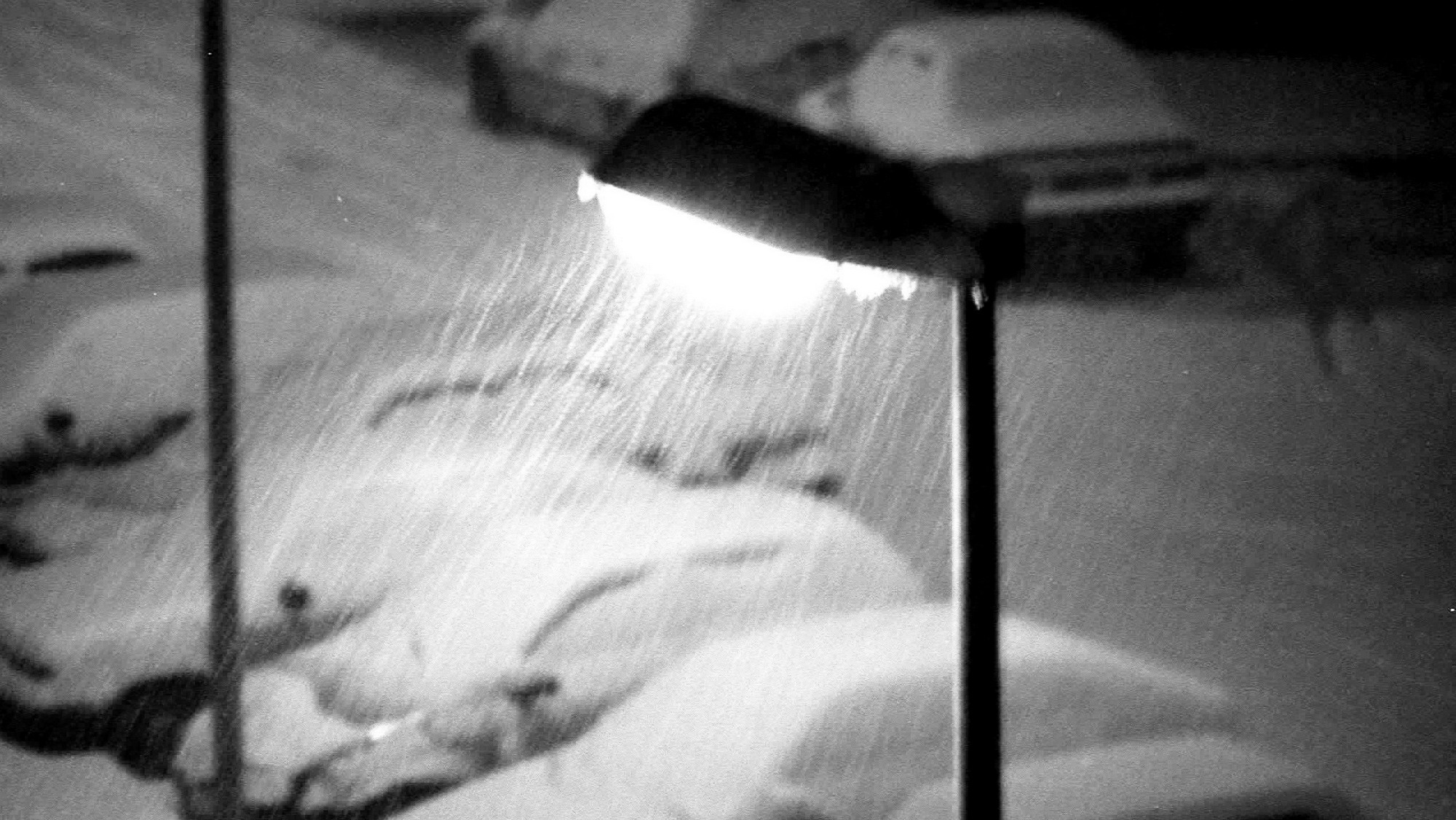 snowfall in the city