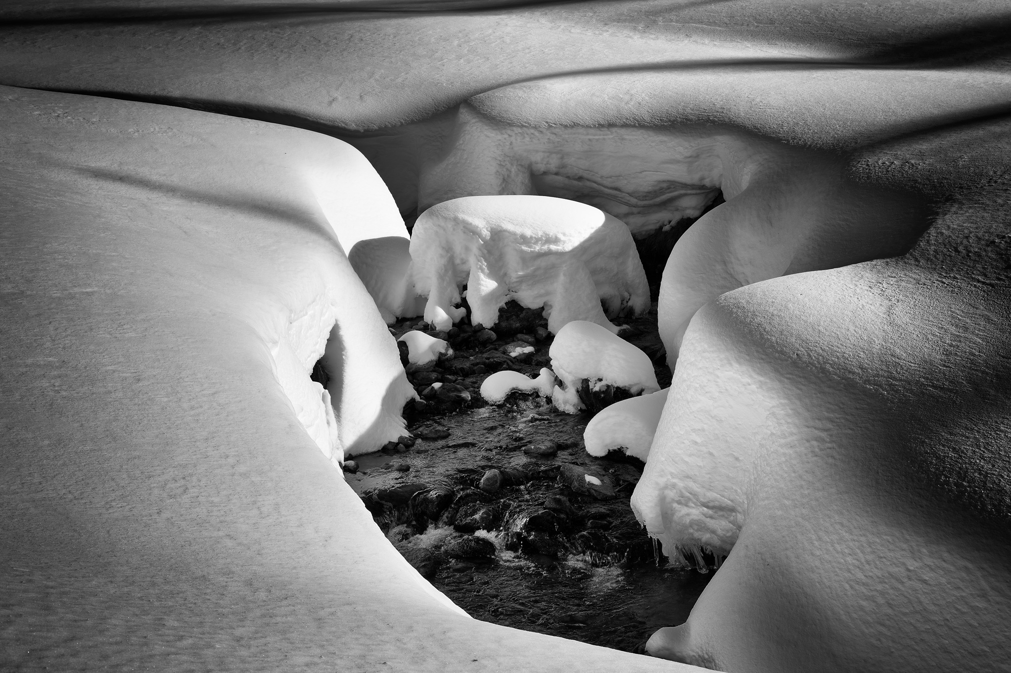 elements in transformation