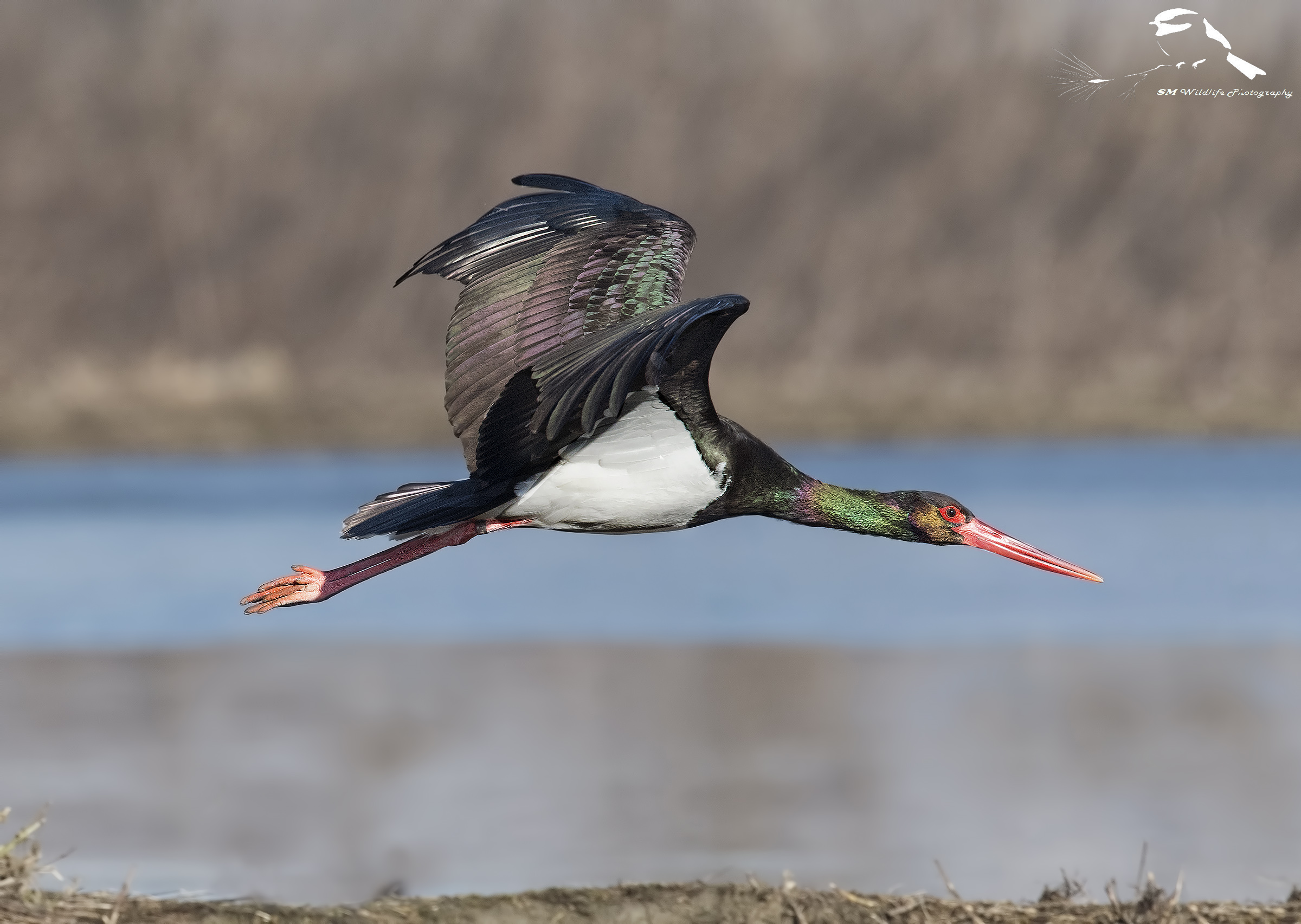 Flight grazing to the ground
