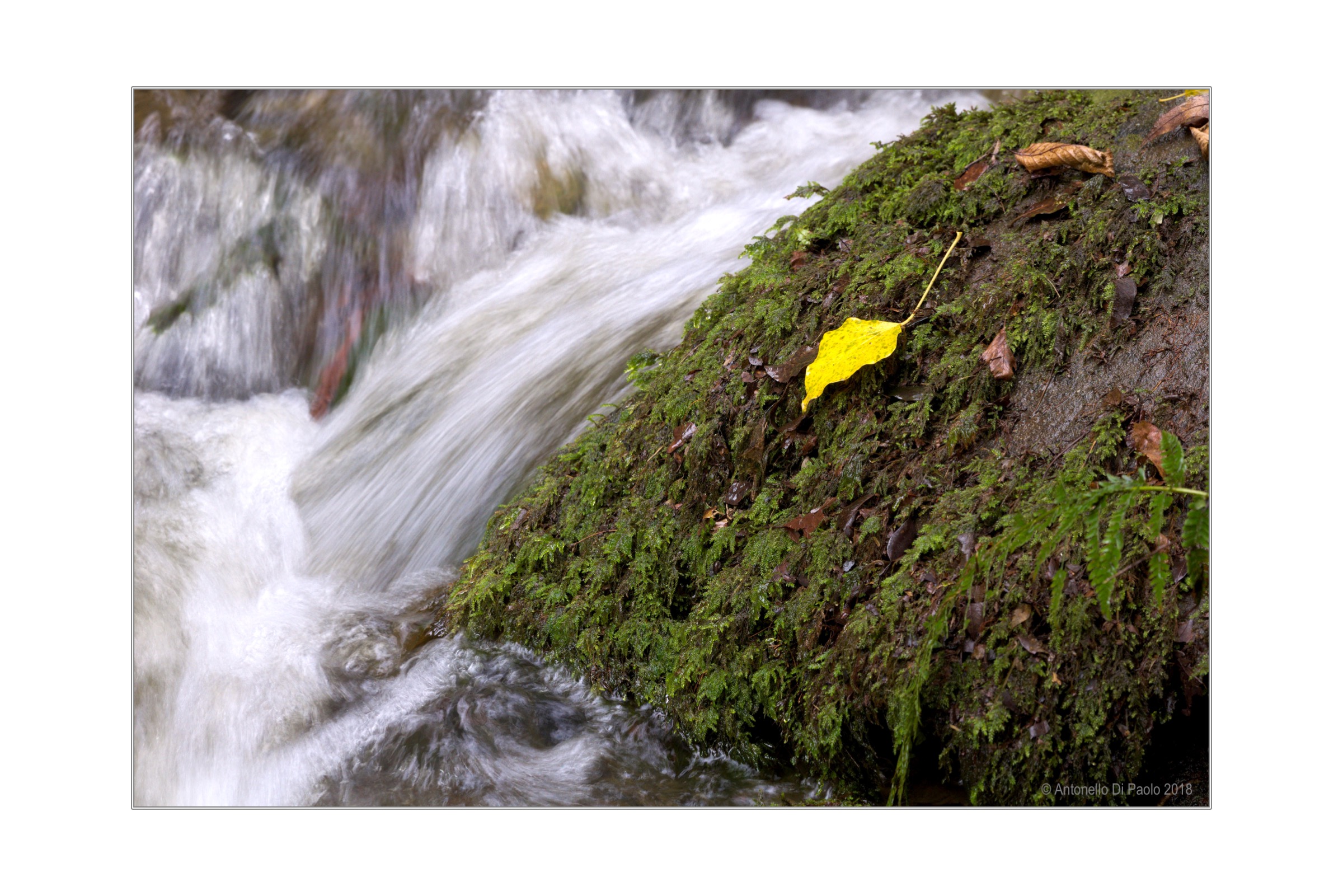 Pronta per un nuovo viaggio