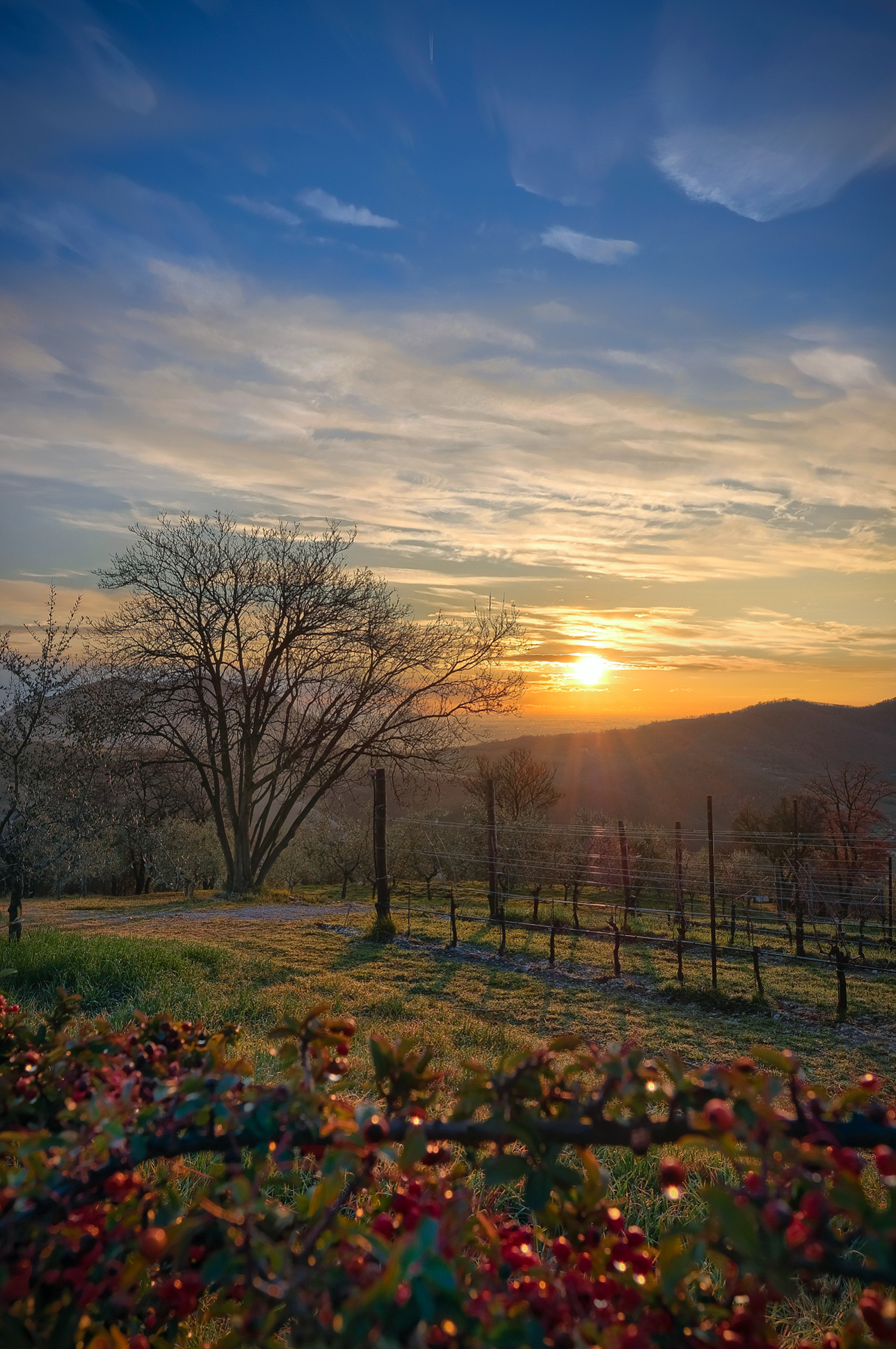Sunrise from Monte Calaone