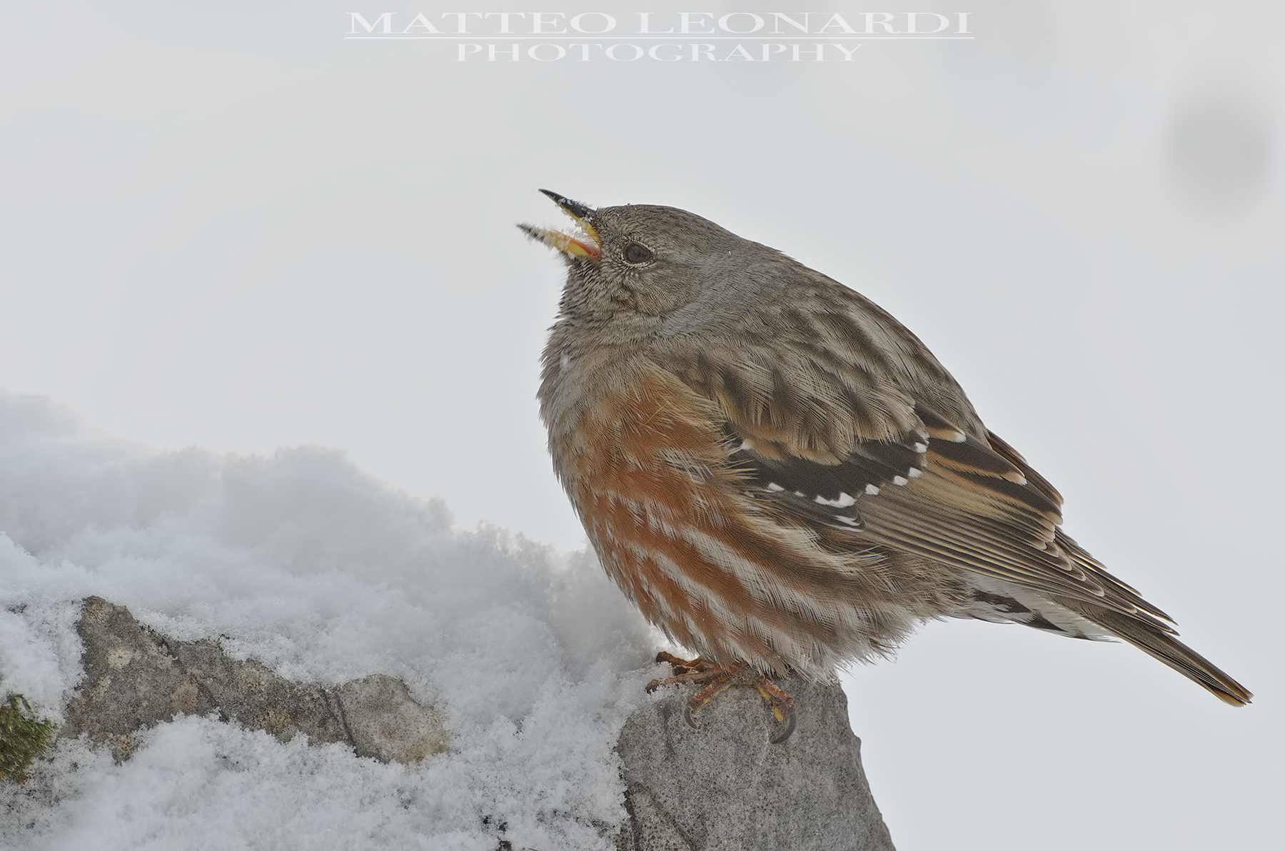 Sordone - Apuan Alps