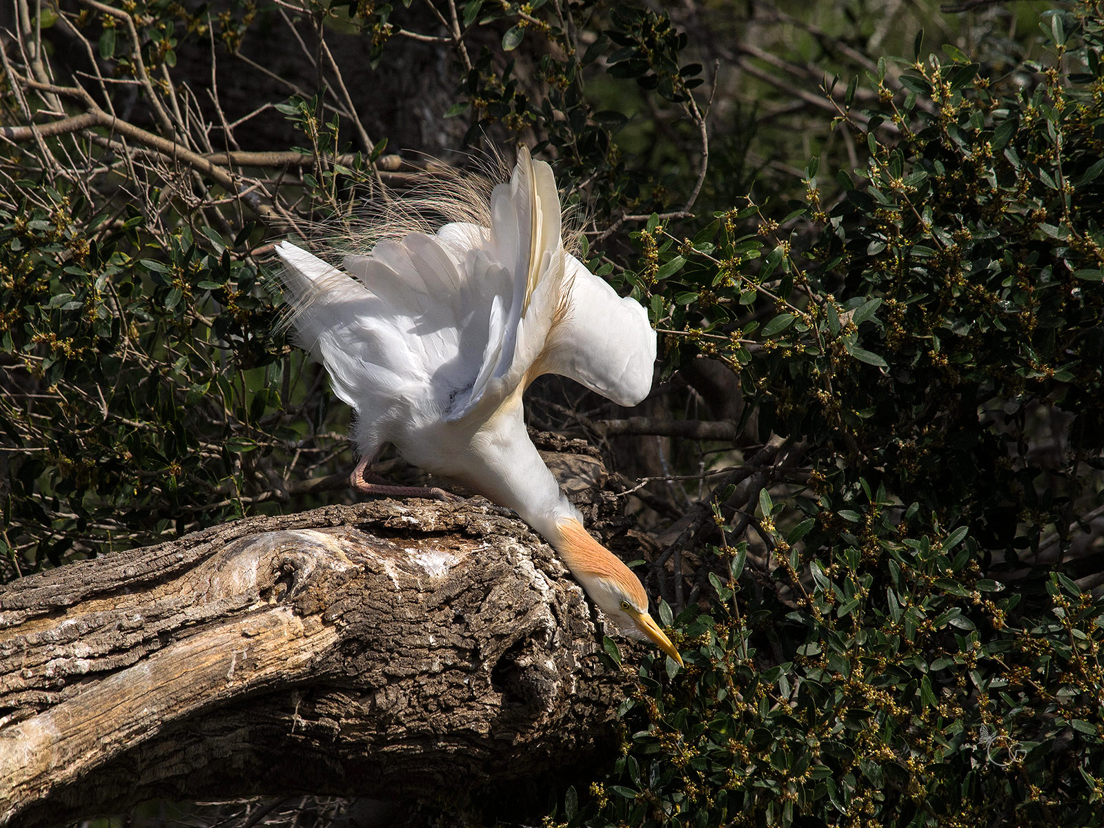 occhio.. che mi girano!