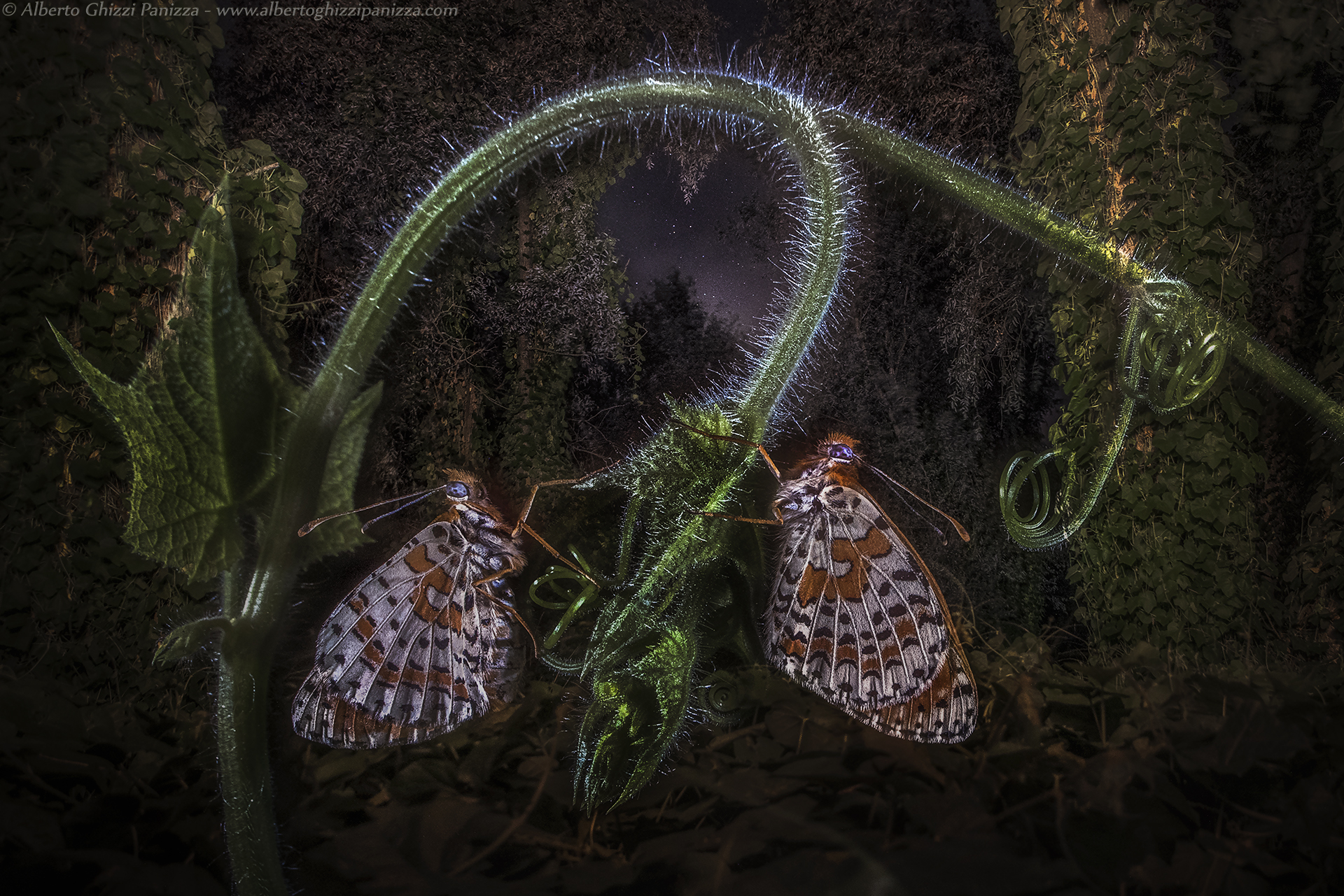 Resting in the night