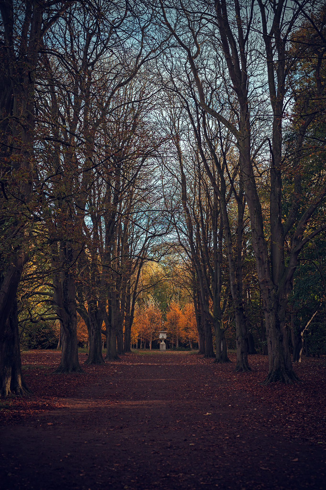 The Memories Fade Away