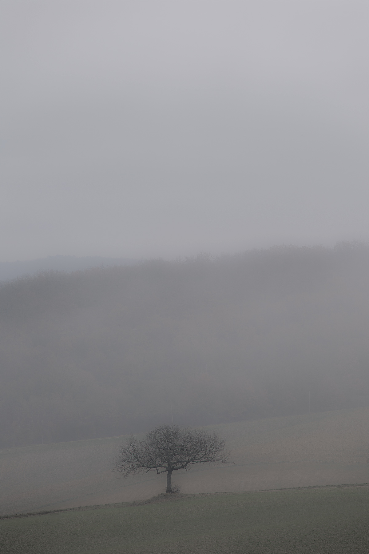 Val D'orcia .... shape and color 6