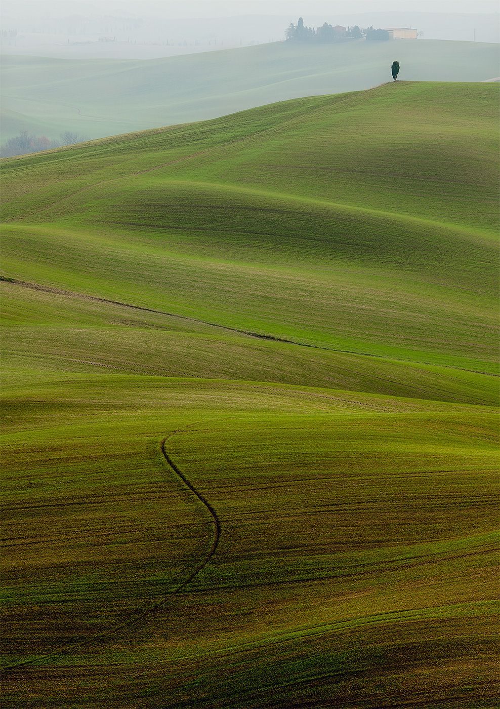 Val D'orcia .... shape and color 7