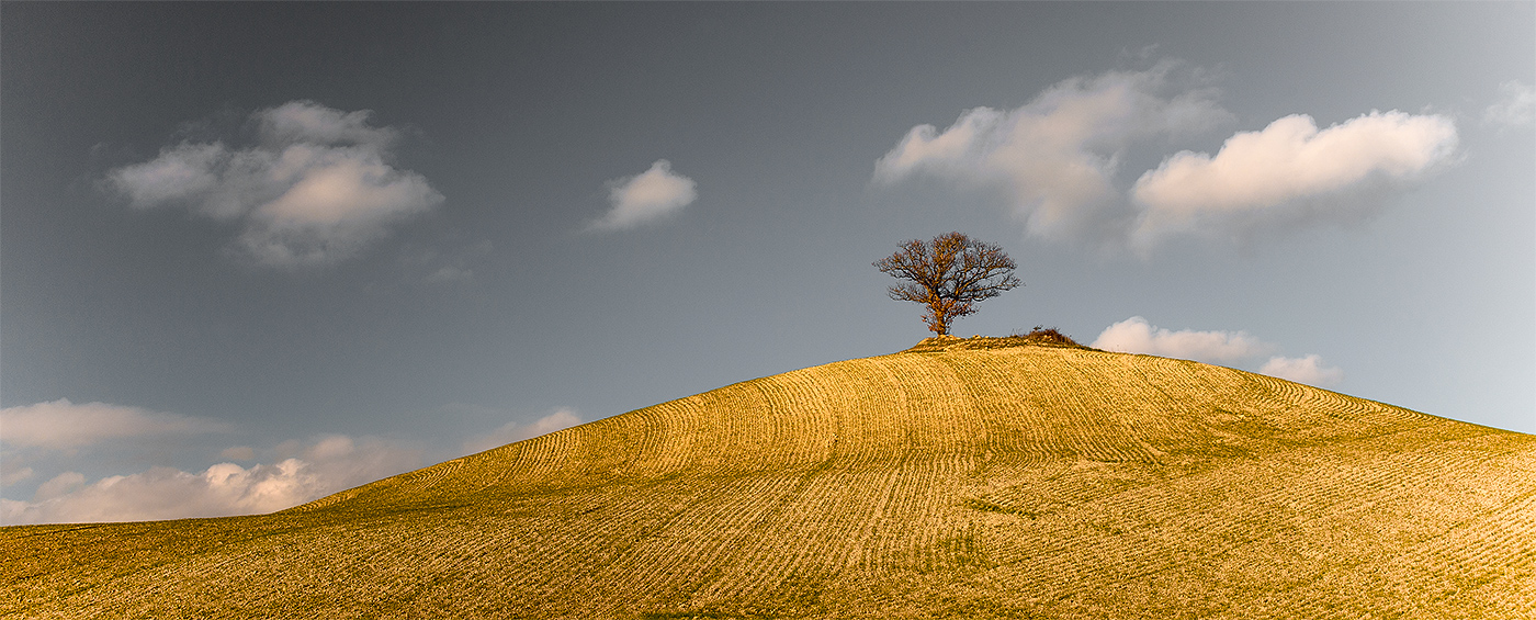 Val D'orcia .... shape and color 8