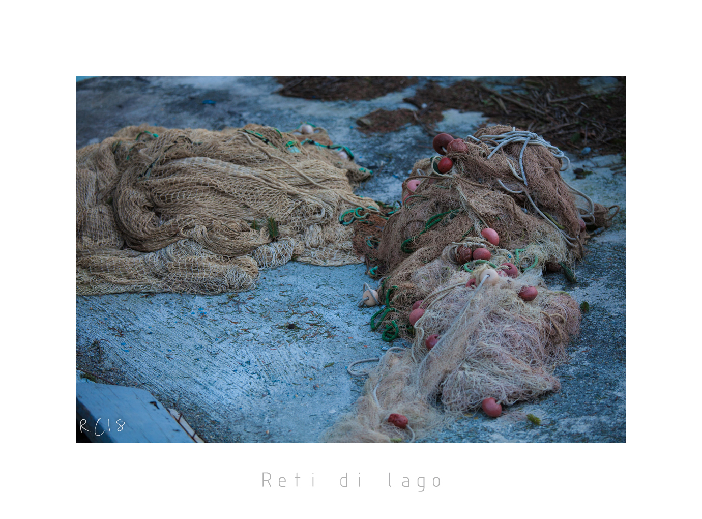 Lake Nets