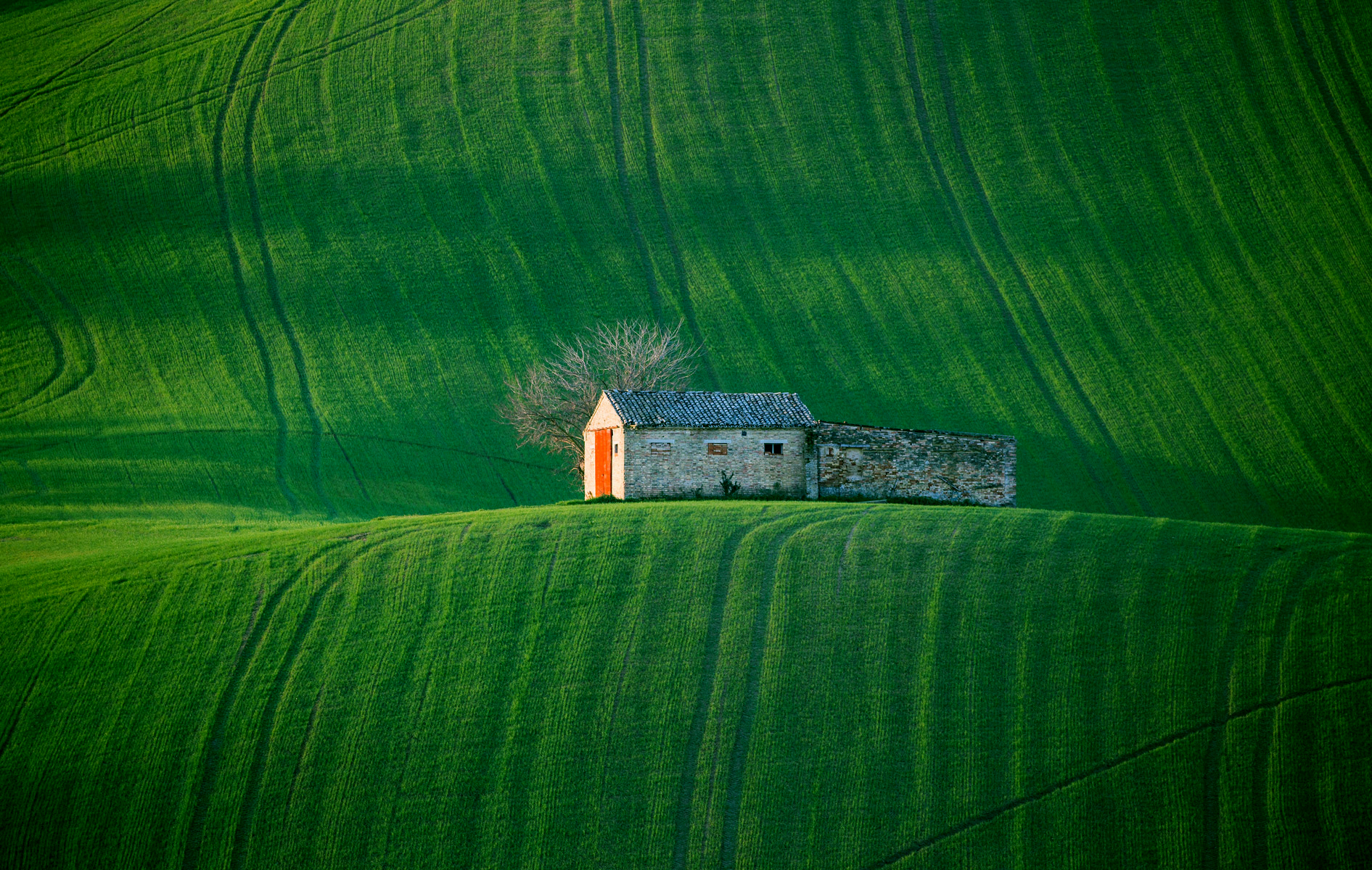 Even you are not paying to go back to the everlasting street...