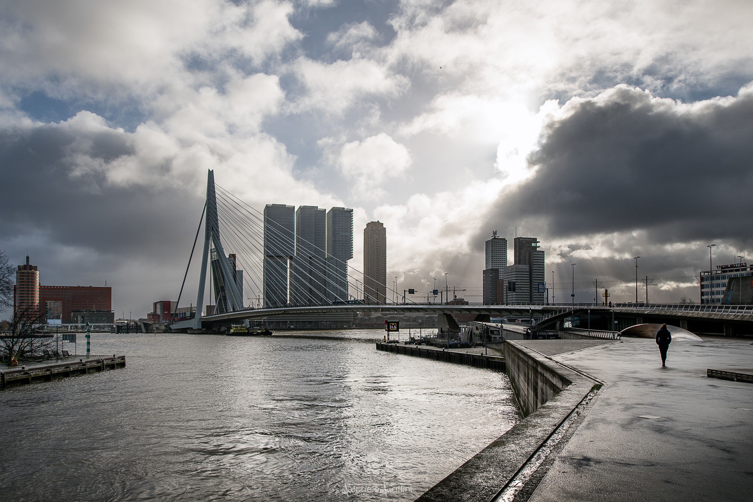 Rotterdam - Passeggiata dopo la tempesta