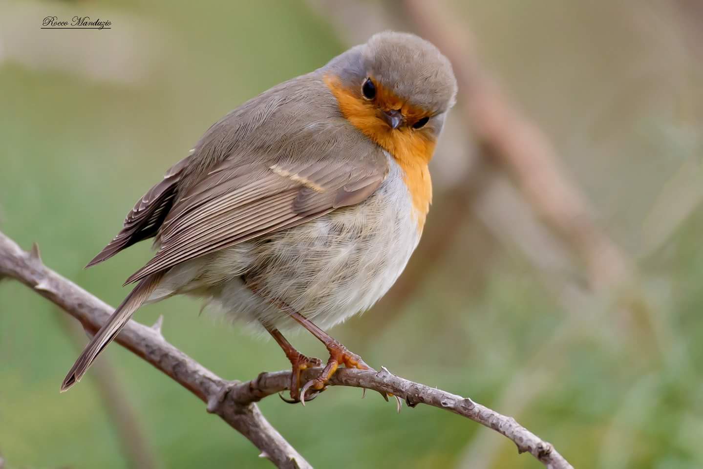 What are you looking at?