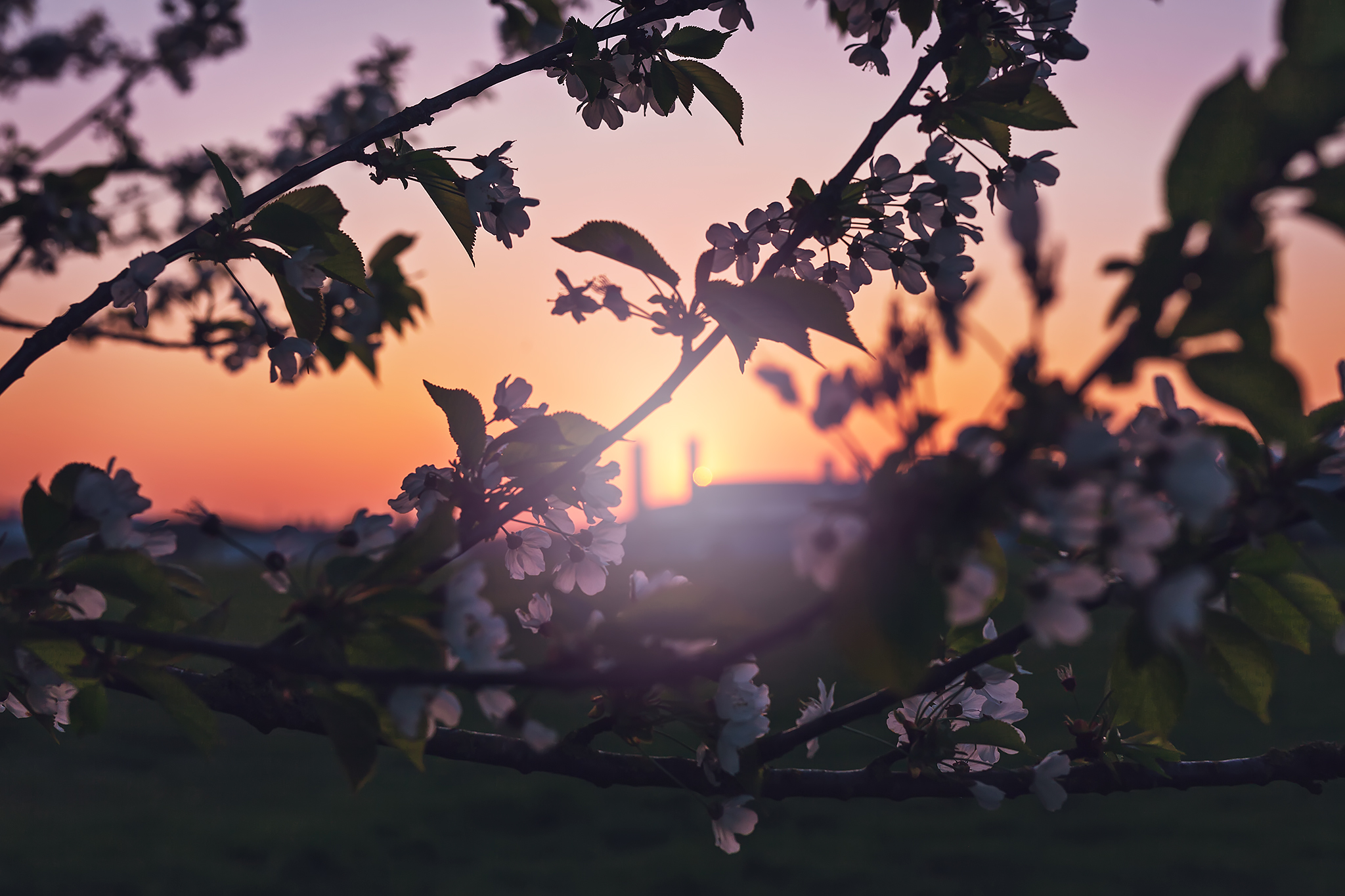 Still Waiting For That Time