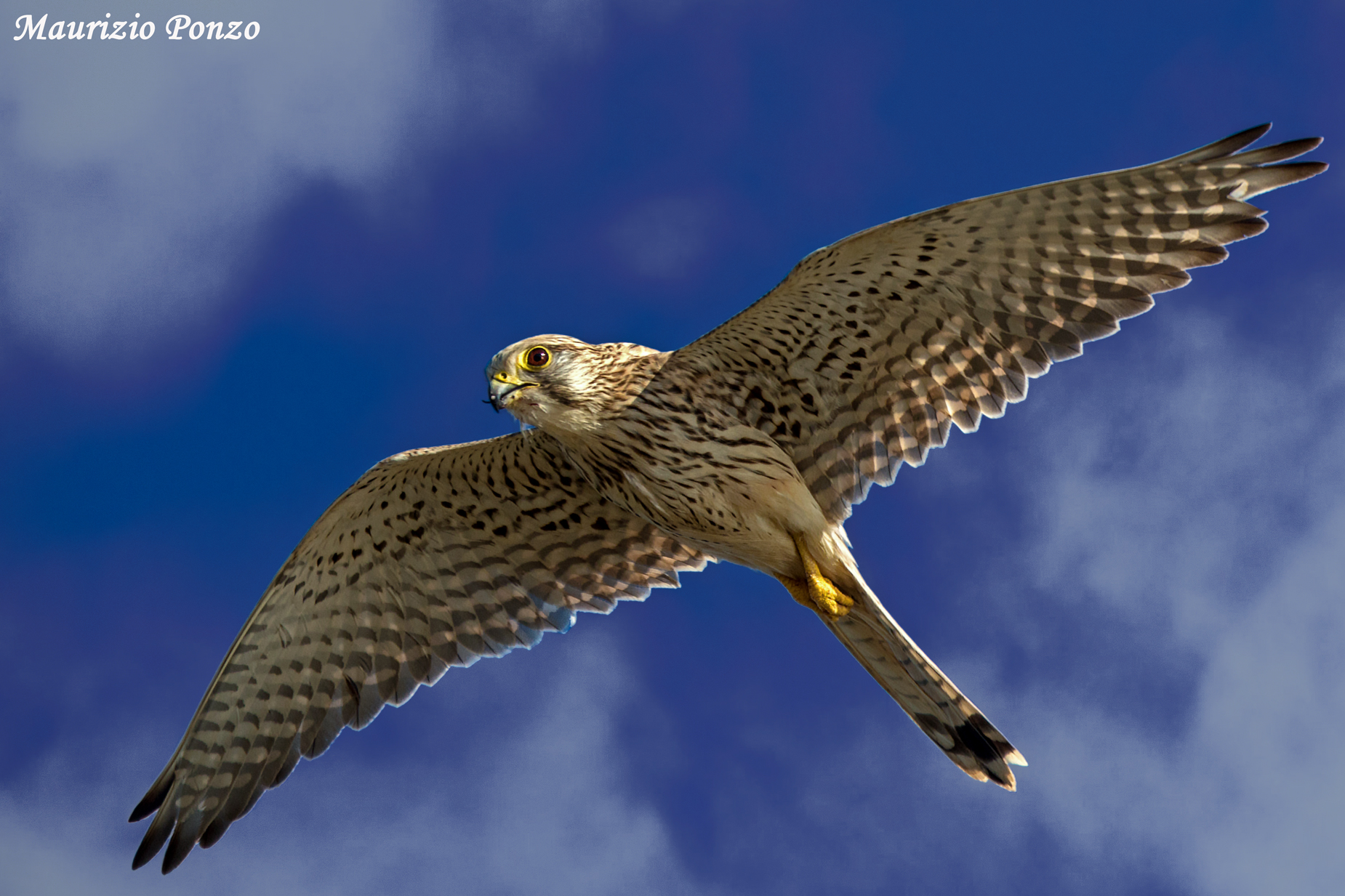 High altitude snack.