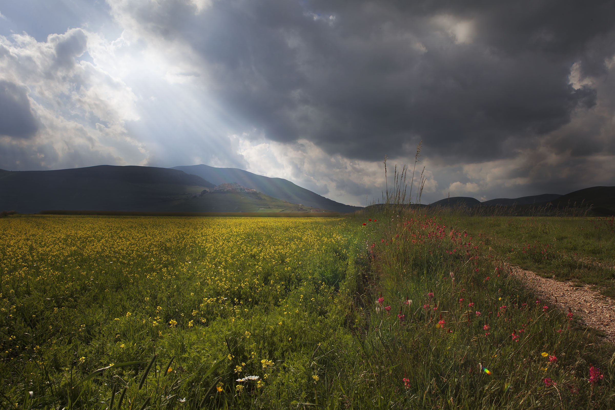 Castelluccio