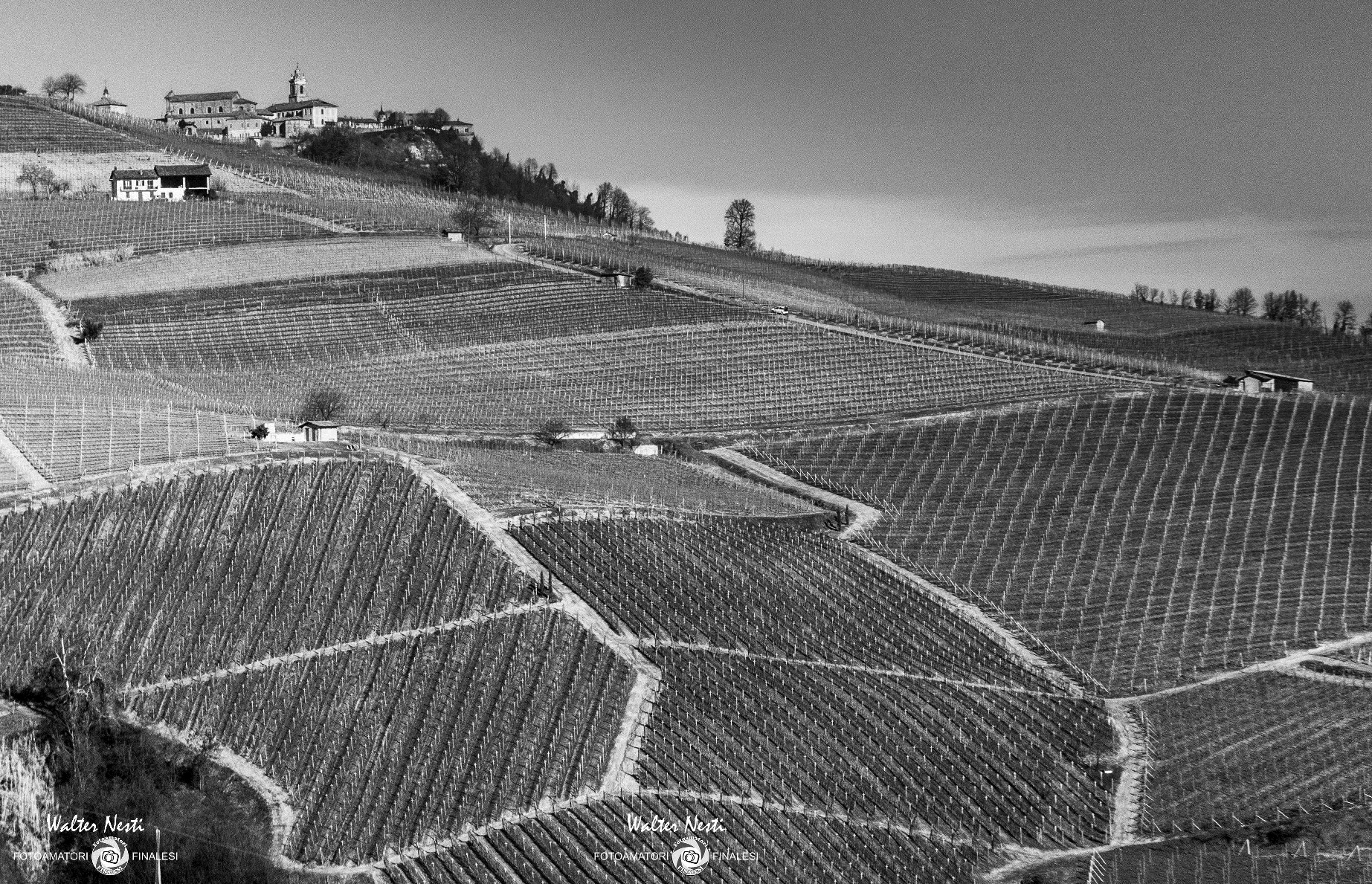 Langhe in black and white
