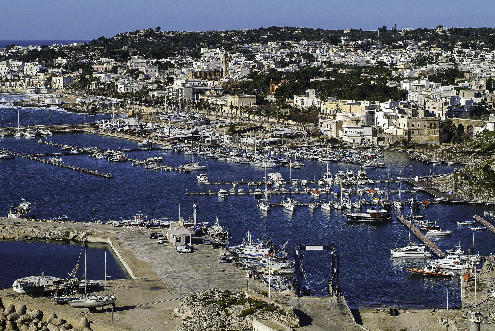 Il vecchio Nikon Auto - S  50/1.4. Sempre un obiettivo