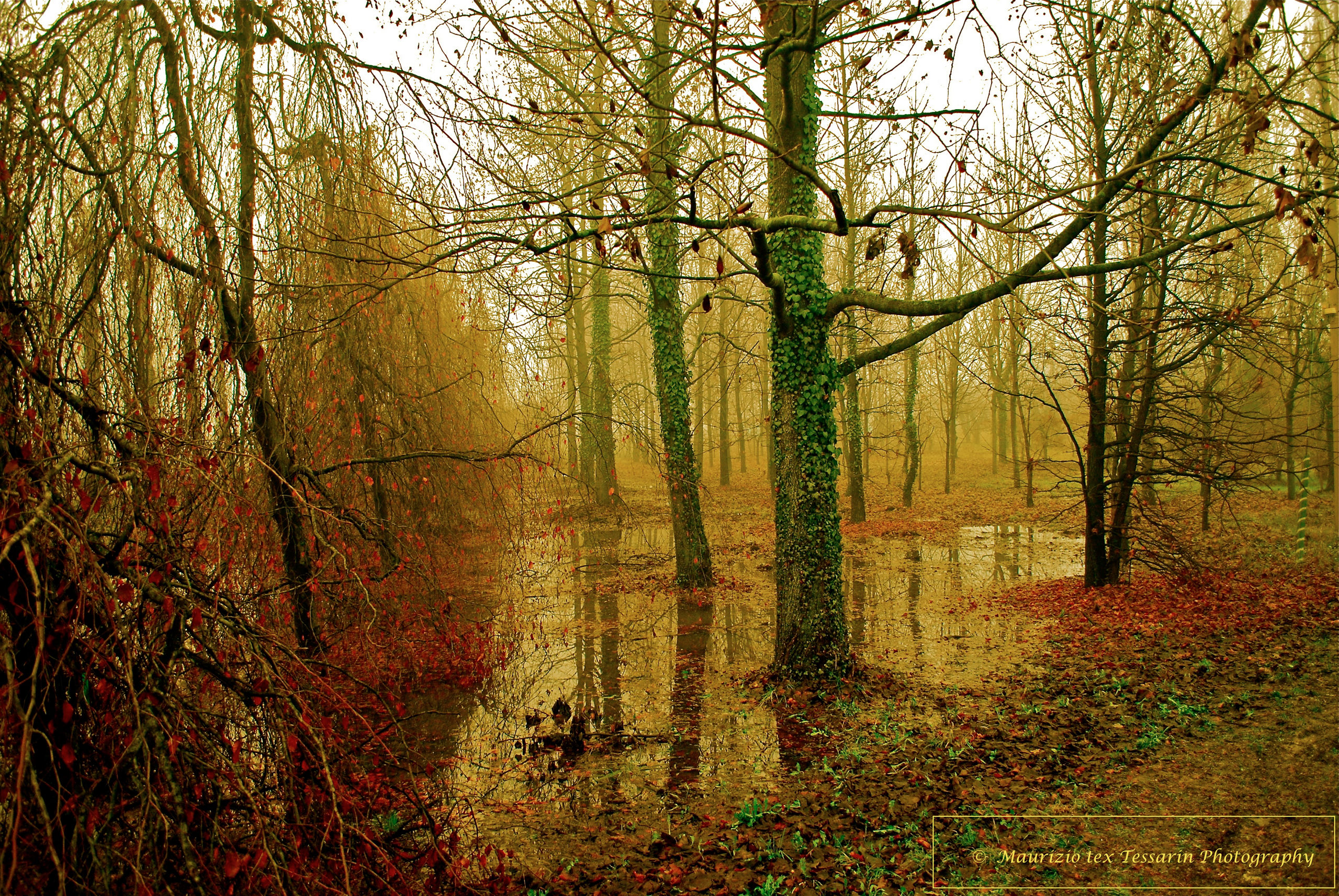 ...nel mezzo del cammin di nostra vita....