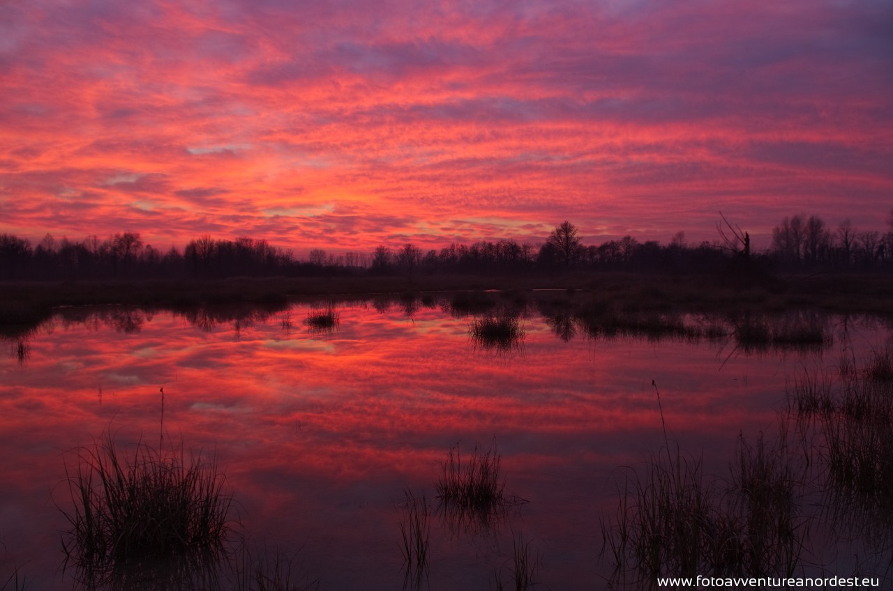 Last lights of the sunset