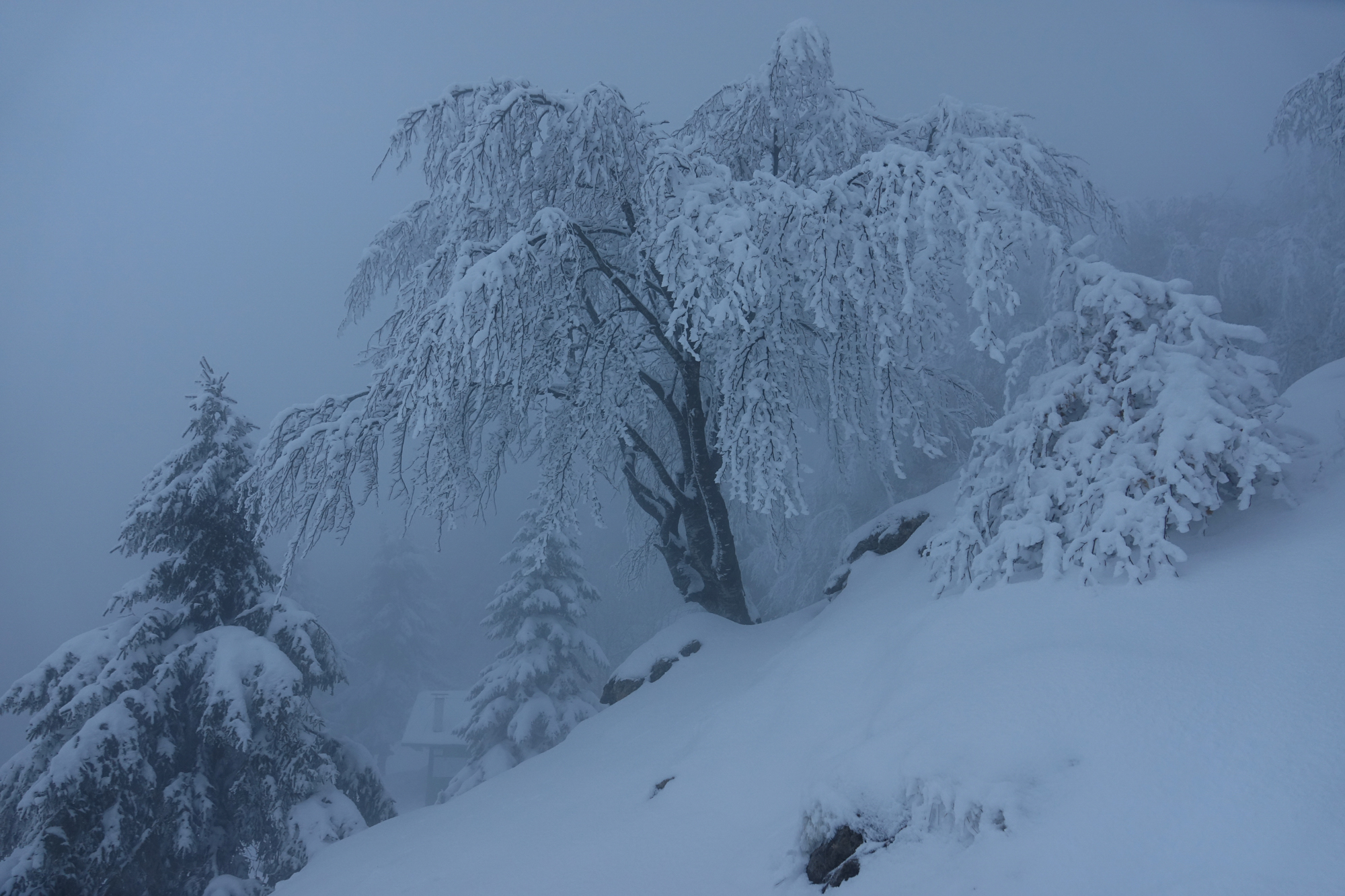 all' improvviso ..... un capanna ...