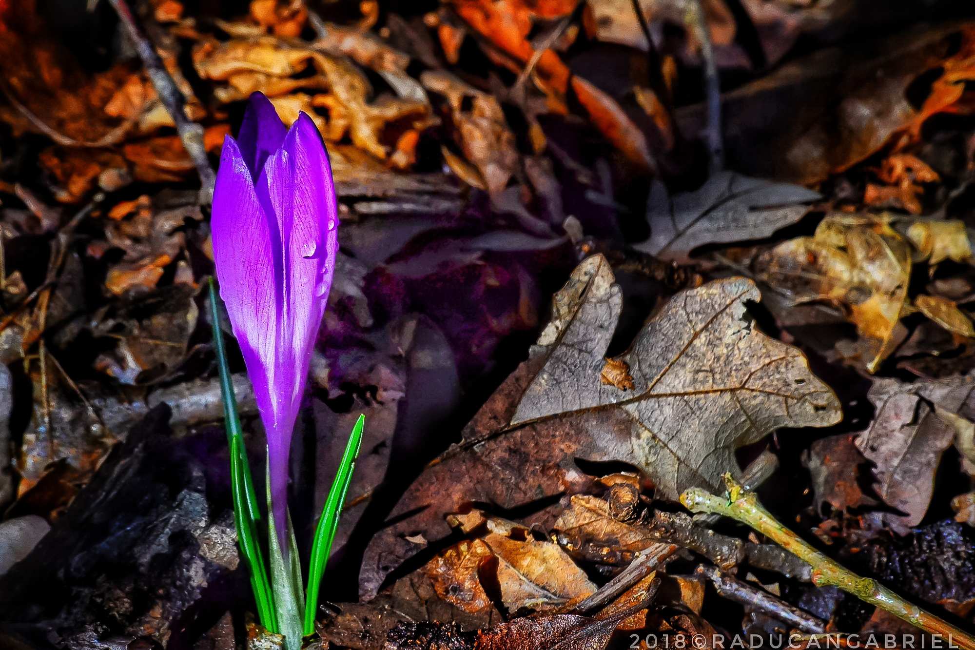 The arrival of Spring ...