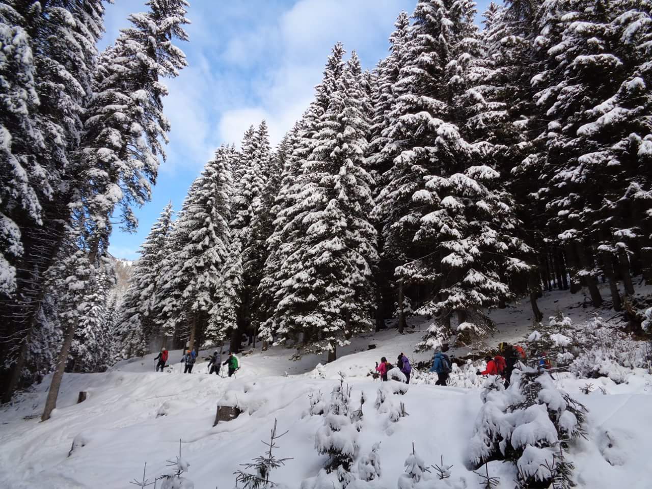 Val Campelle Gruppo lagorai