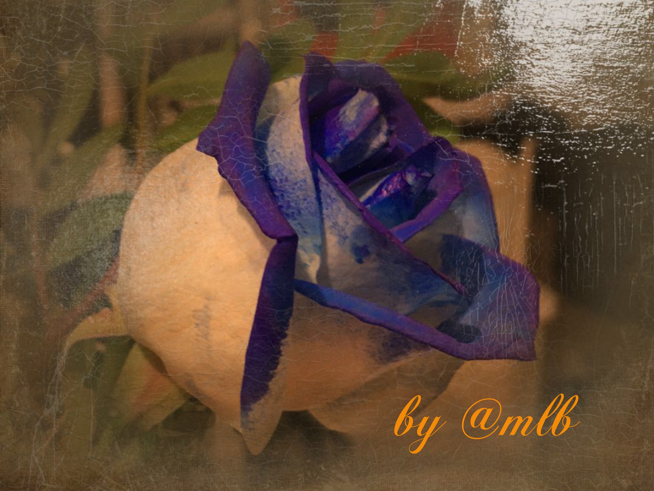 Rose effect painted oil