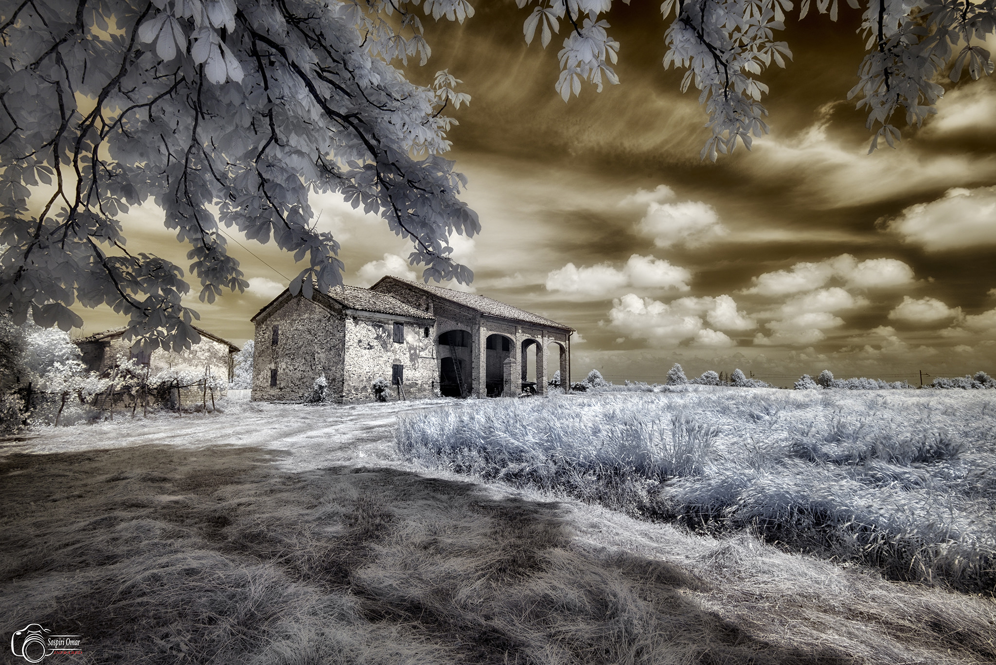 Nikon d610 modified IR 720nm & 14-24mm