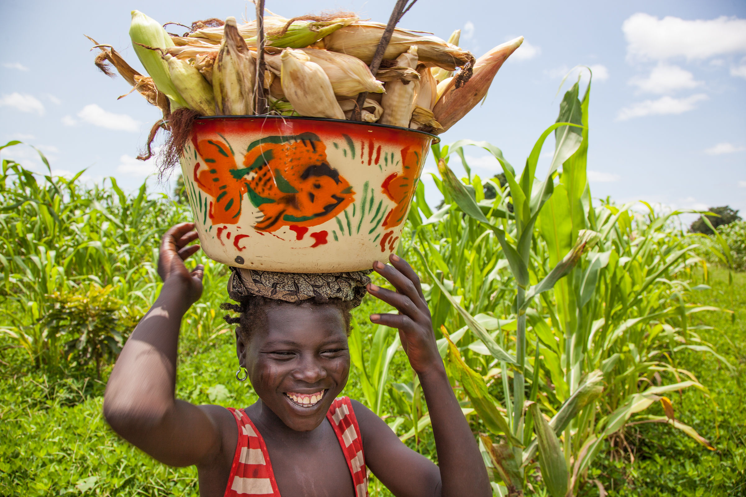 La raccolta del mais