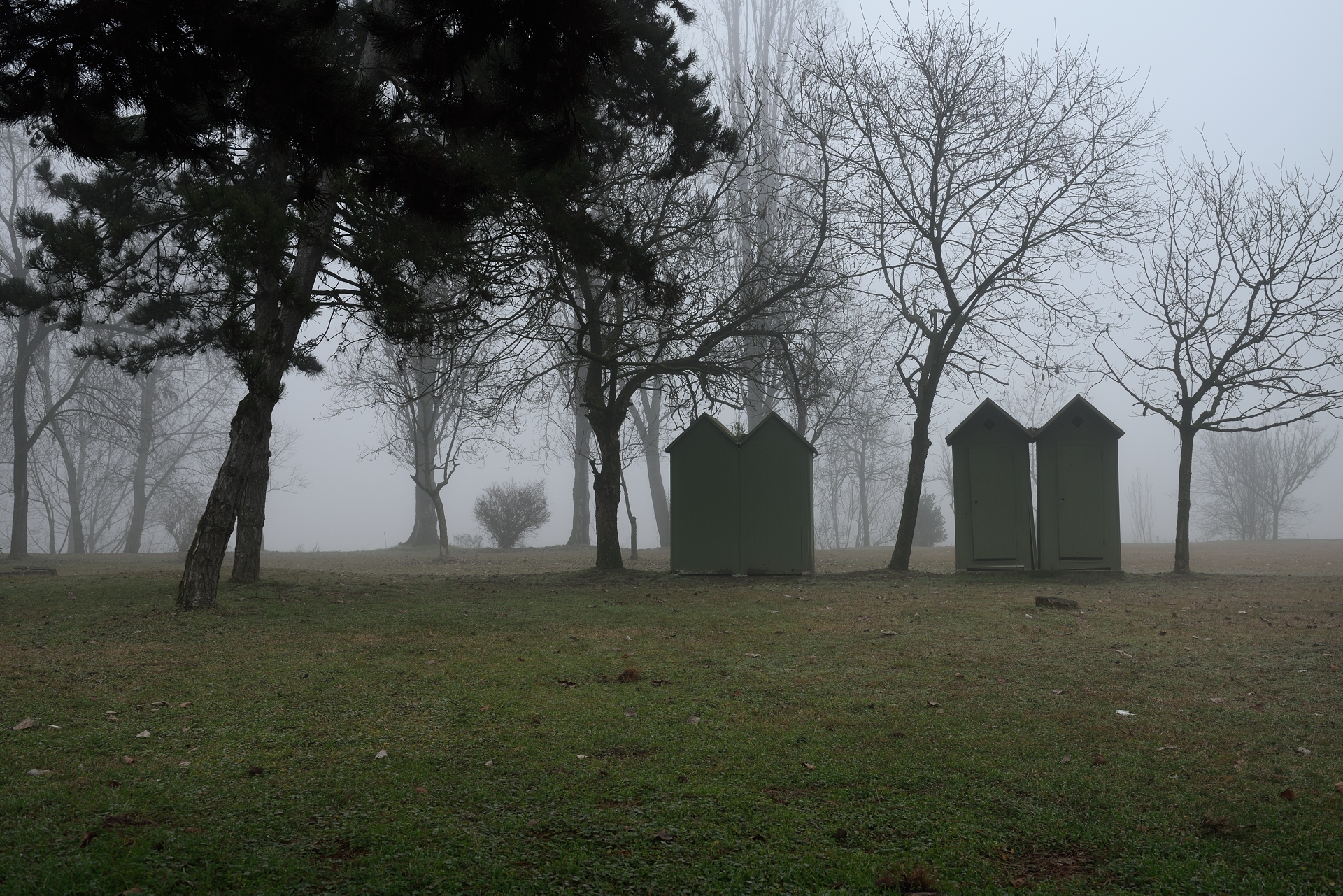 Una domenica di nebbia al parco lungo l'Adda