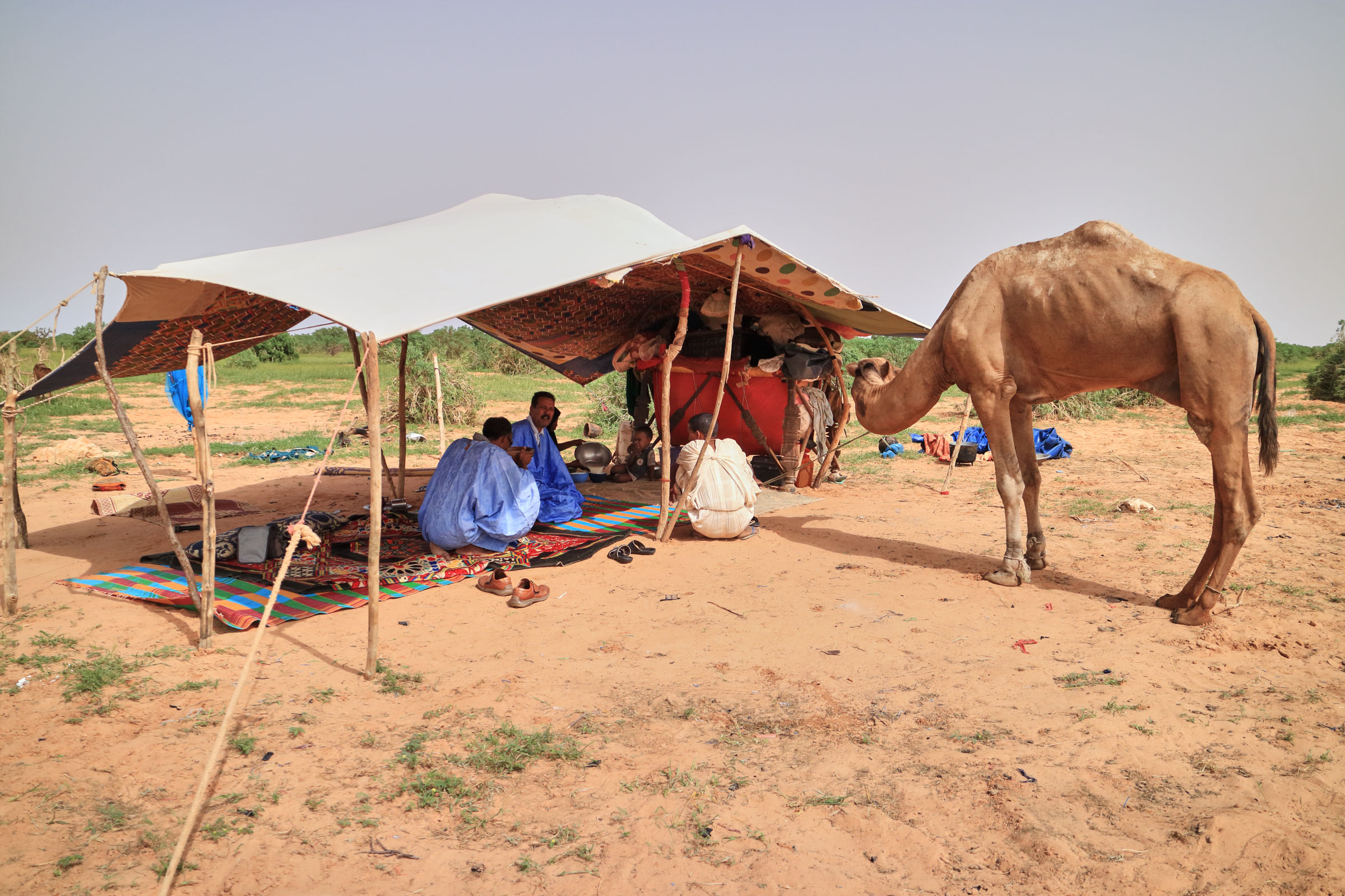 Famiglia nomade - Mauritania