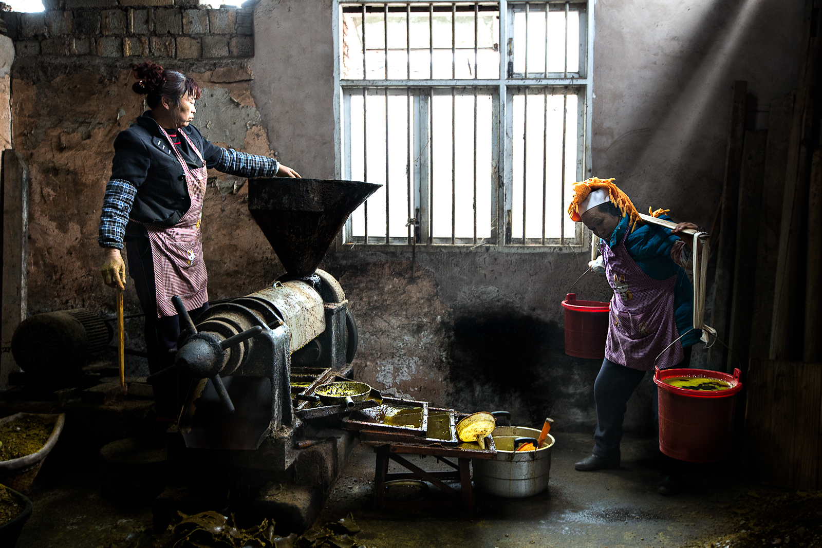 Fabbrica di olio di colza