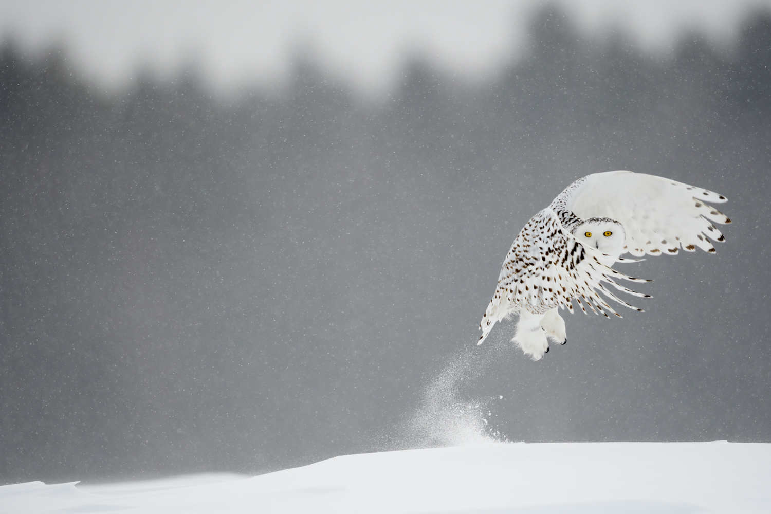 de-icing carried out: take-off!
