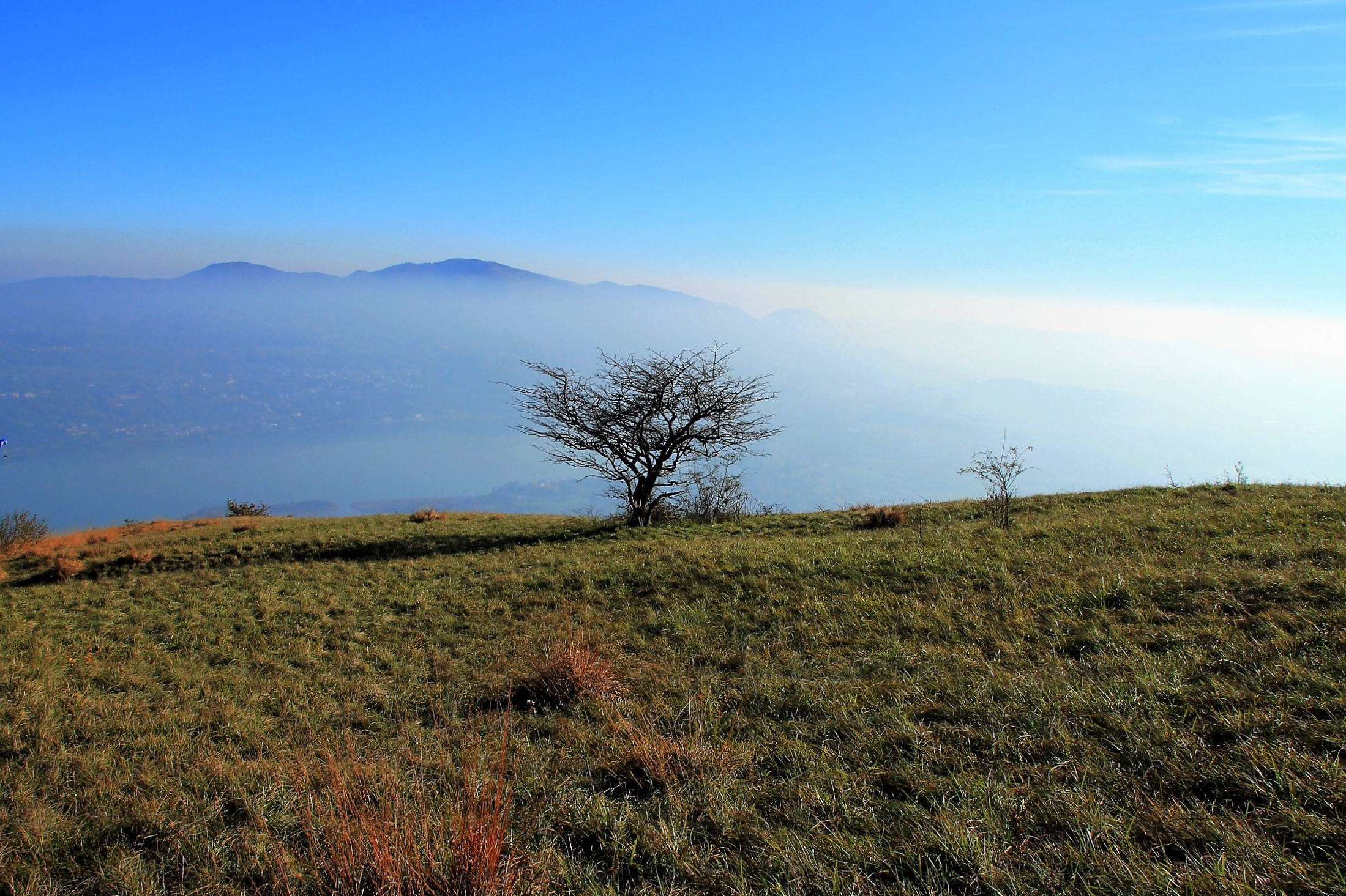 Solitario nella foschia