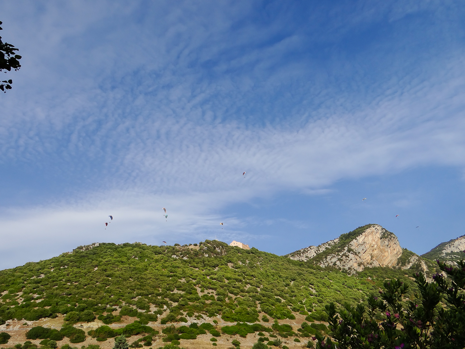 madonna of the garnet paestum