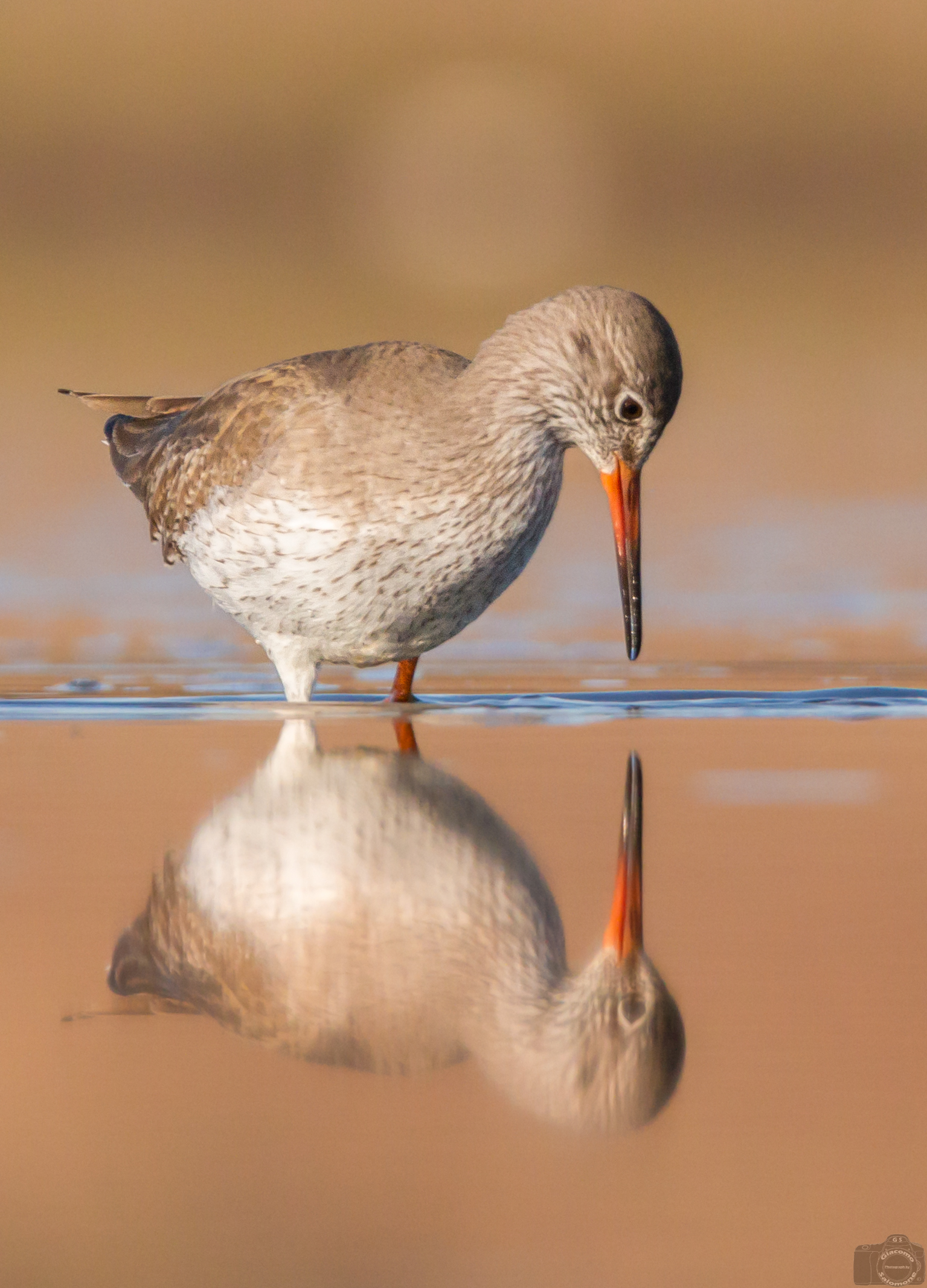 Gossip in the mirror.
