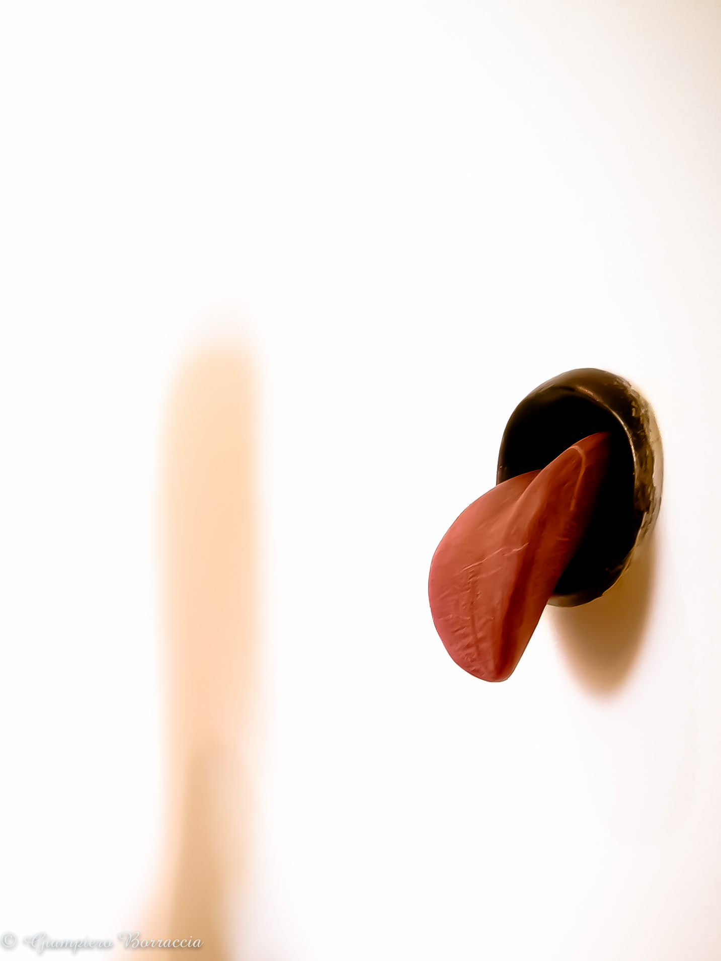 Mel Chin, Shape of a Lie