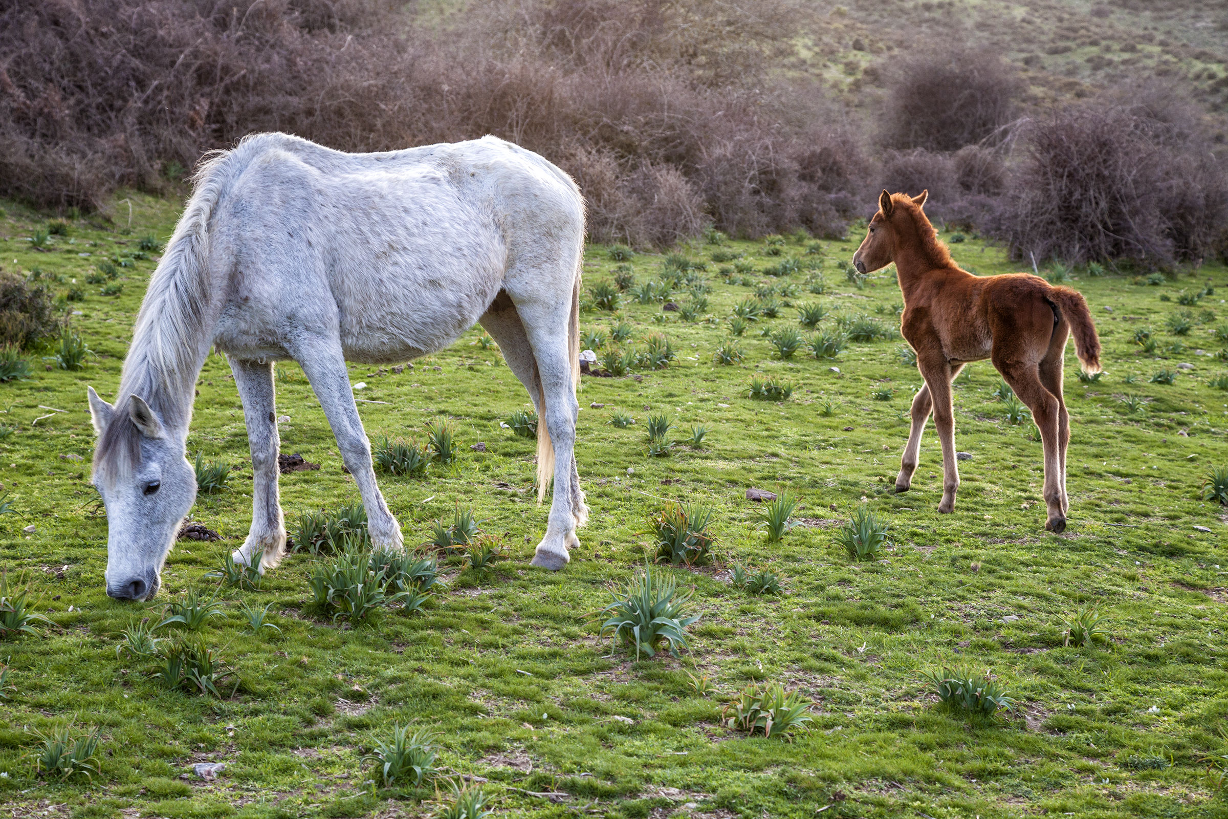 At the end of the evening