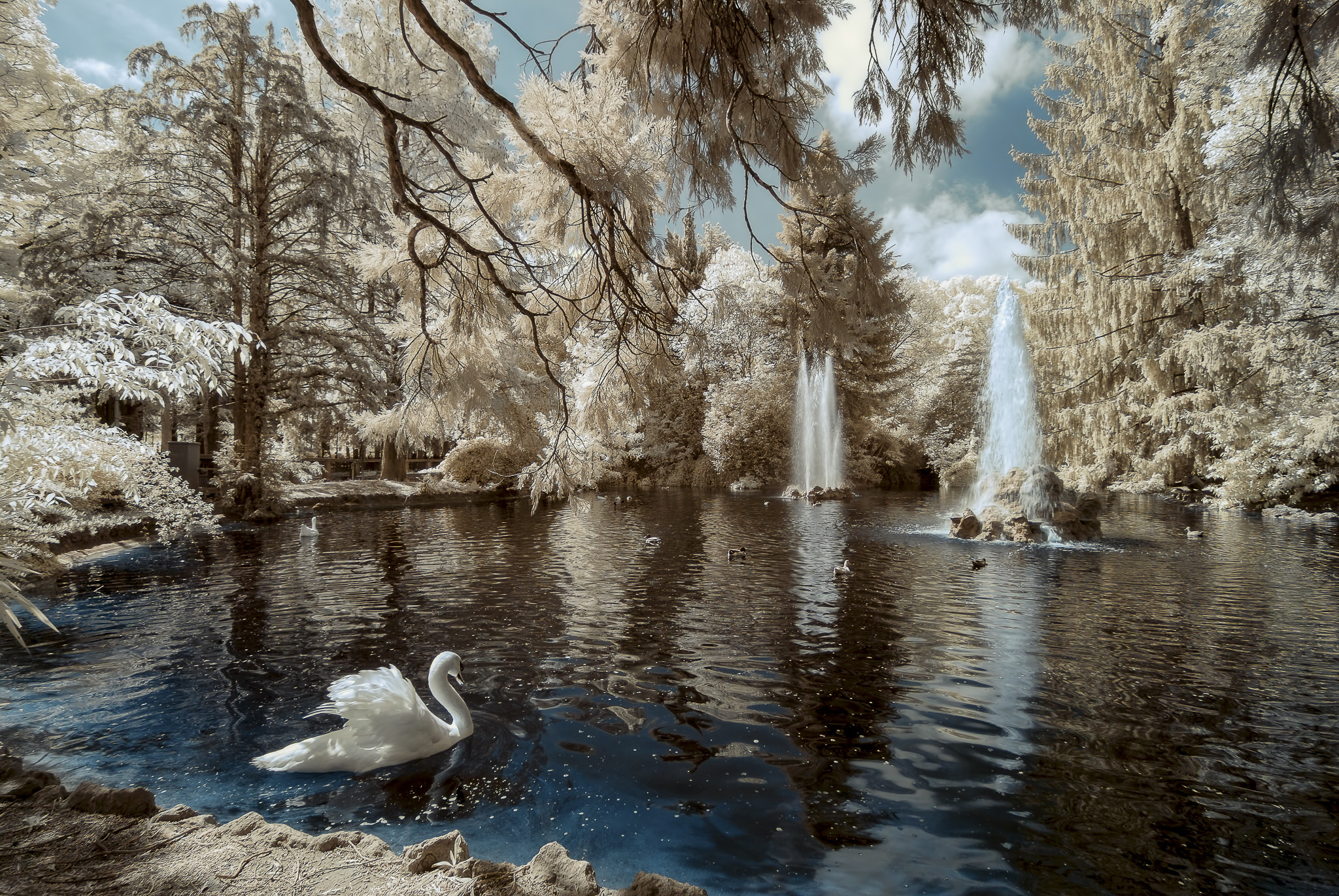 Nikon d610 IR 720nm & 14-24mm