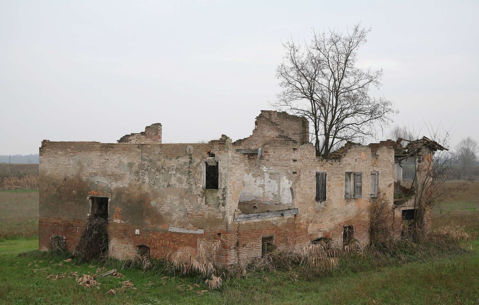 Foto scattata nel Dicembre 2016.