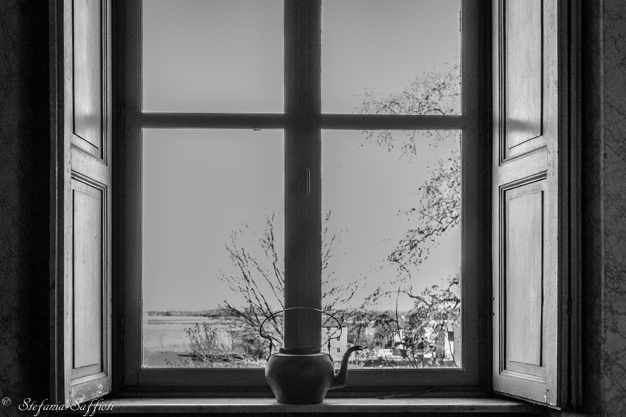The window