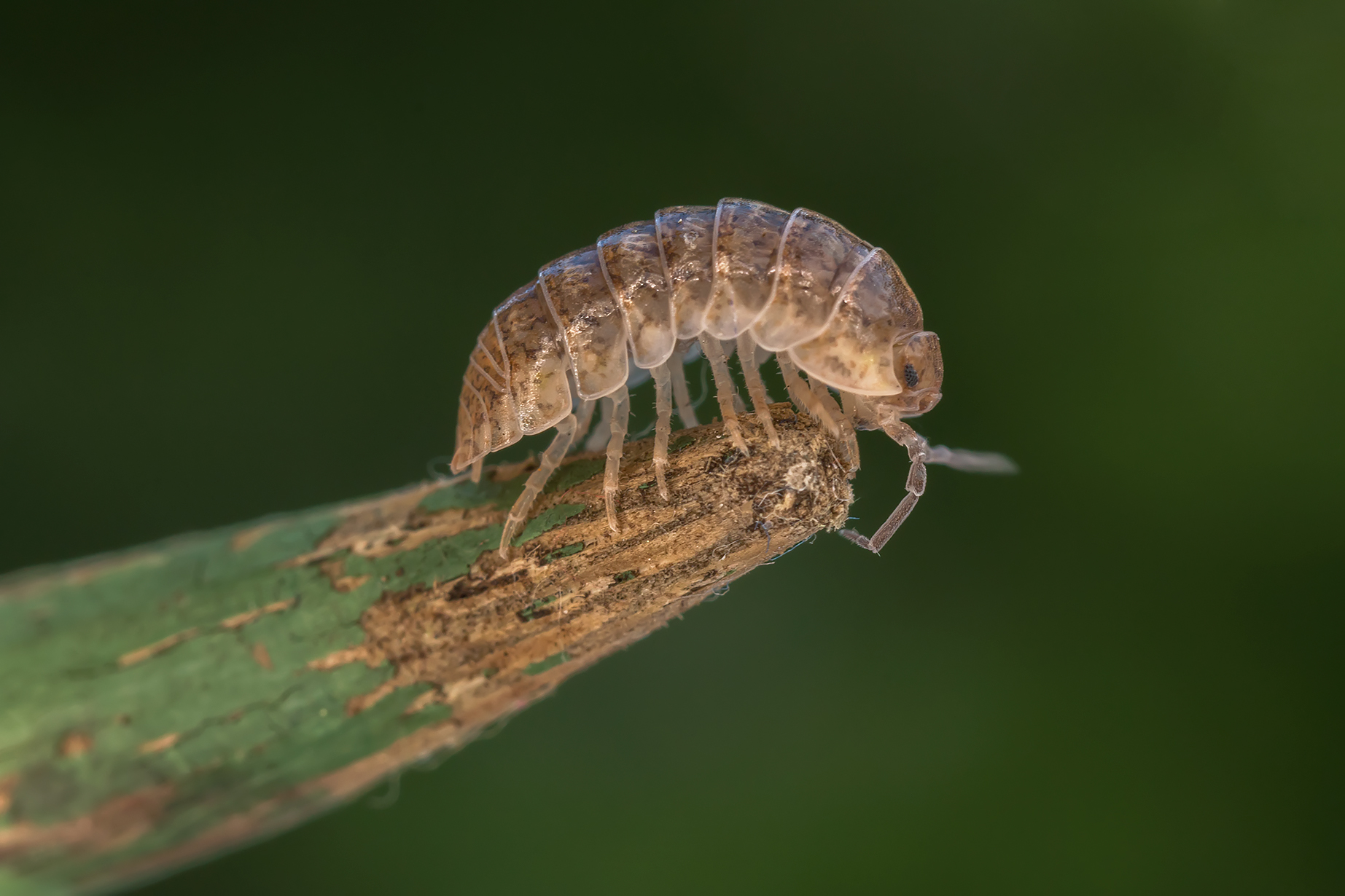 jump into the unknown